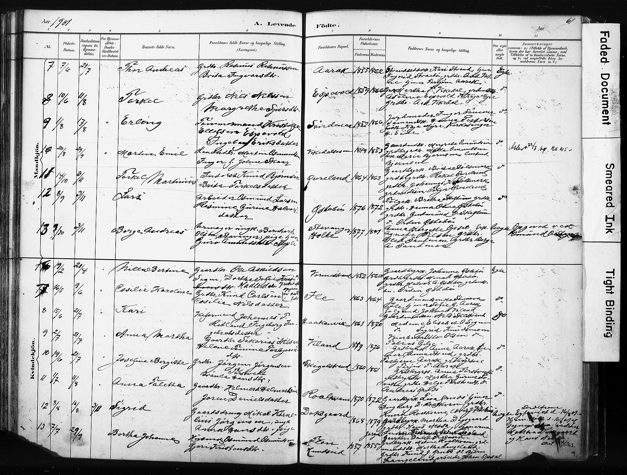 Vikedal sokneprestkontor, AV/SAST-A-101840/01/IV: Parish register (official) no. A 10, 1884-1907, p. 61