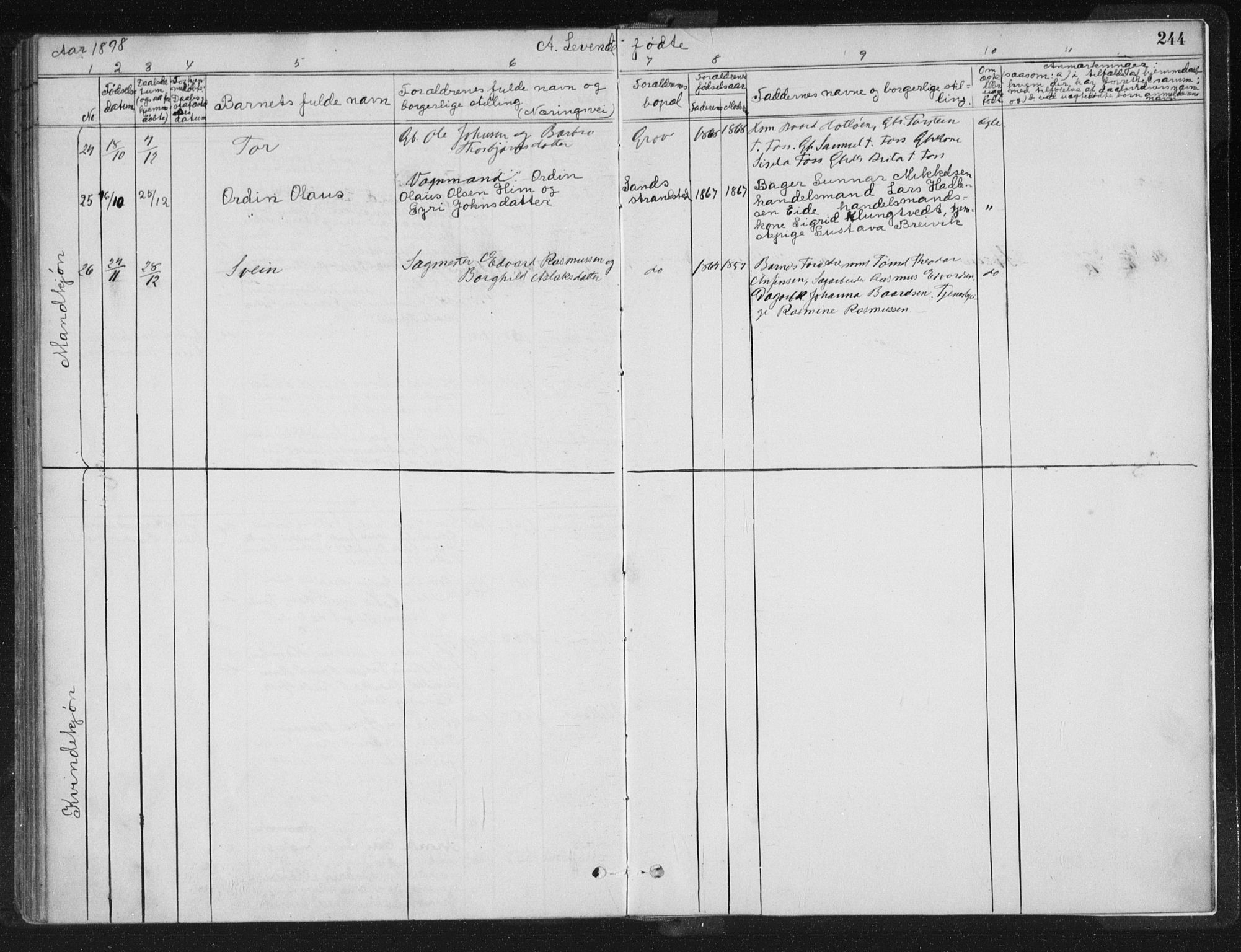 Sand sokneprestkontor, AV/SAST-A-101848/01/III/L0005: Parish register (official) no. A 5, 1880-1898, p. 244