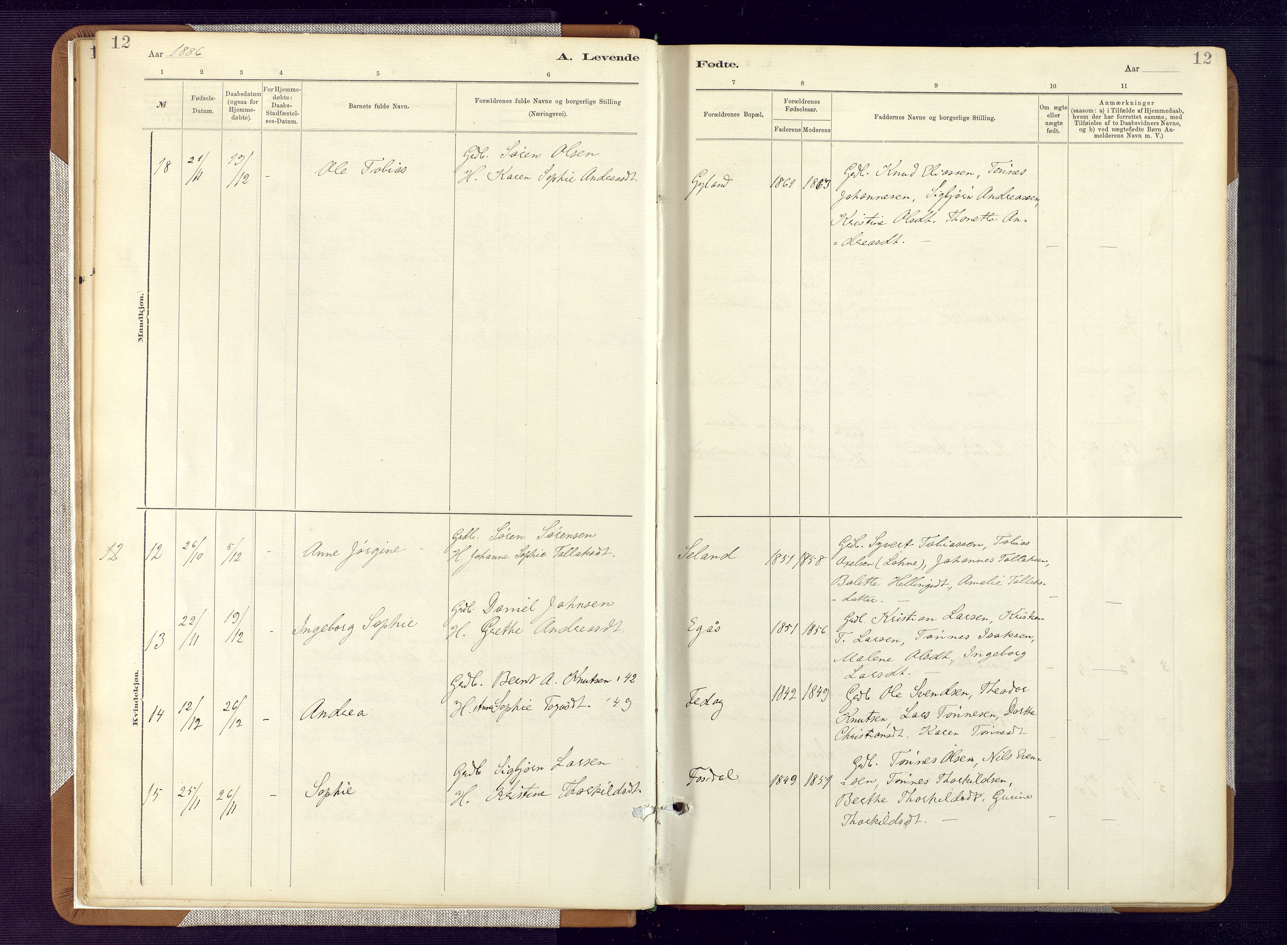 Bakke sokneprestkontor, AV/SAK-1111-0002/F/Fa/Fab/L0003: Parish register (official) no. A 3, 1884-1921, p. 12