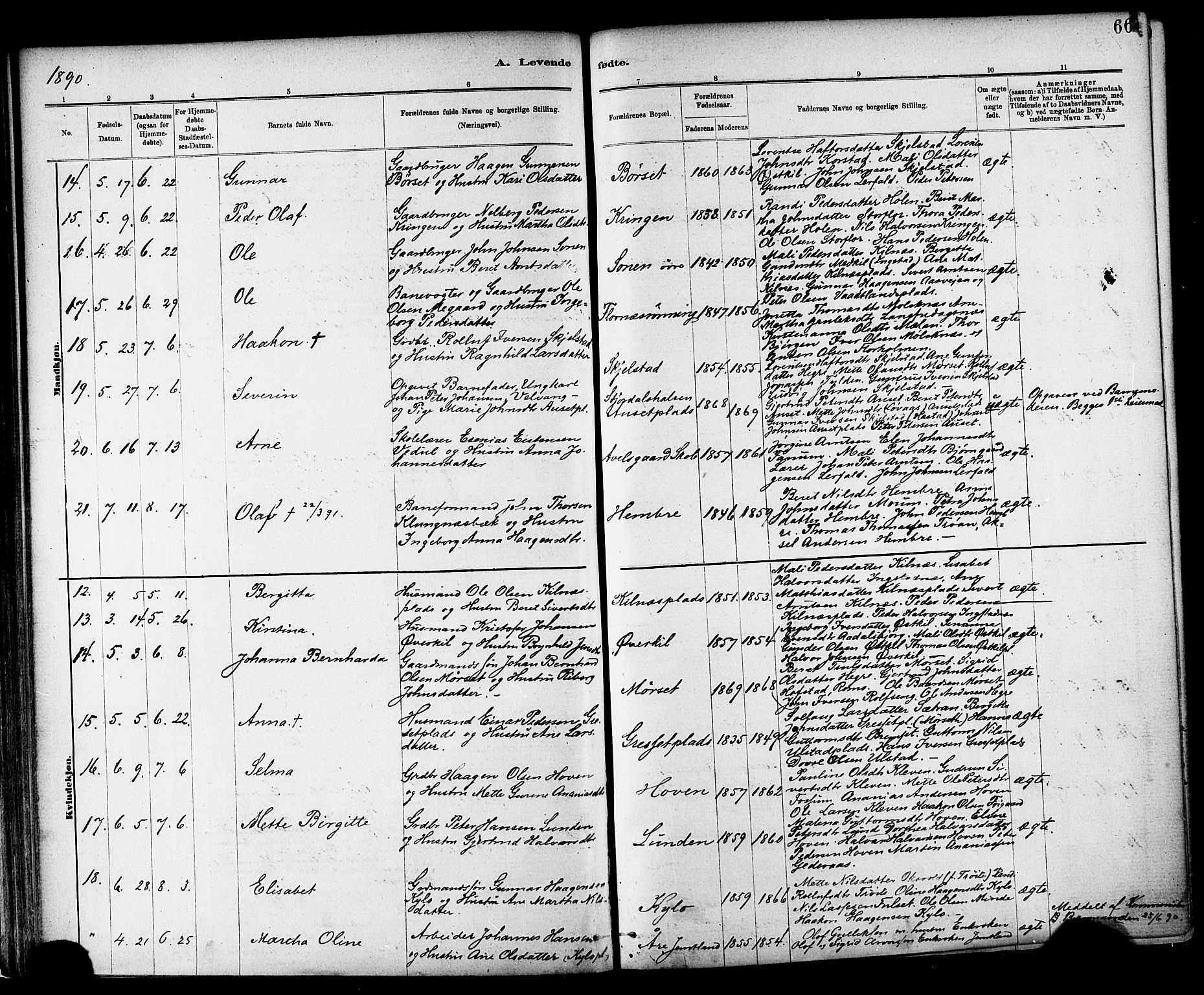 Ministerialprotokoller, klokkerbøker og fødselsregistre - Nord-Trøndelag, AV/SAT-A-1458/703/L0030: Parish register (official) no. 703A03, 1880-1892, p. 66