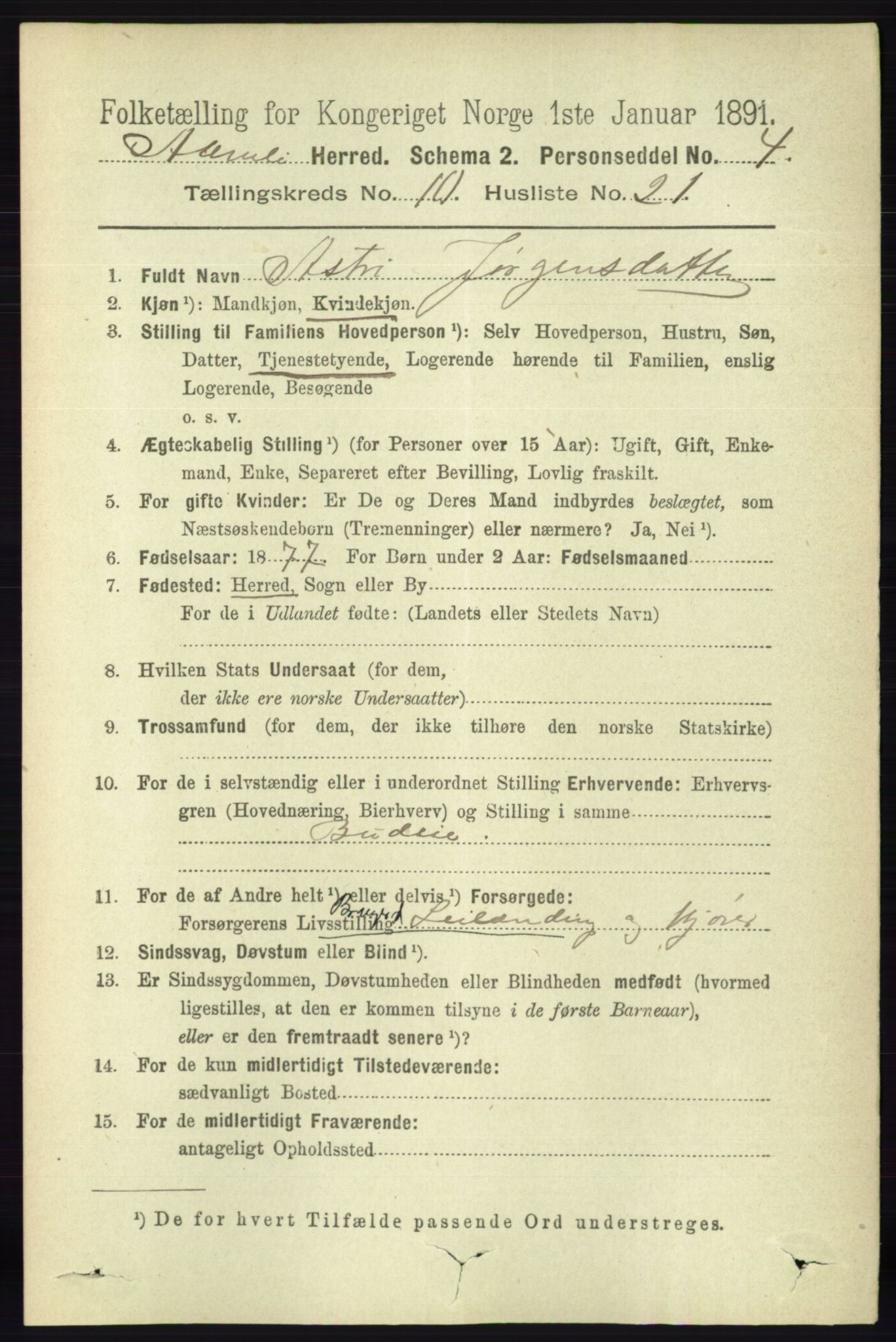 RA, 1891 census for 0929 Åmli, 1891, p. 1819