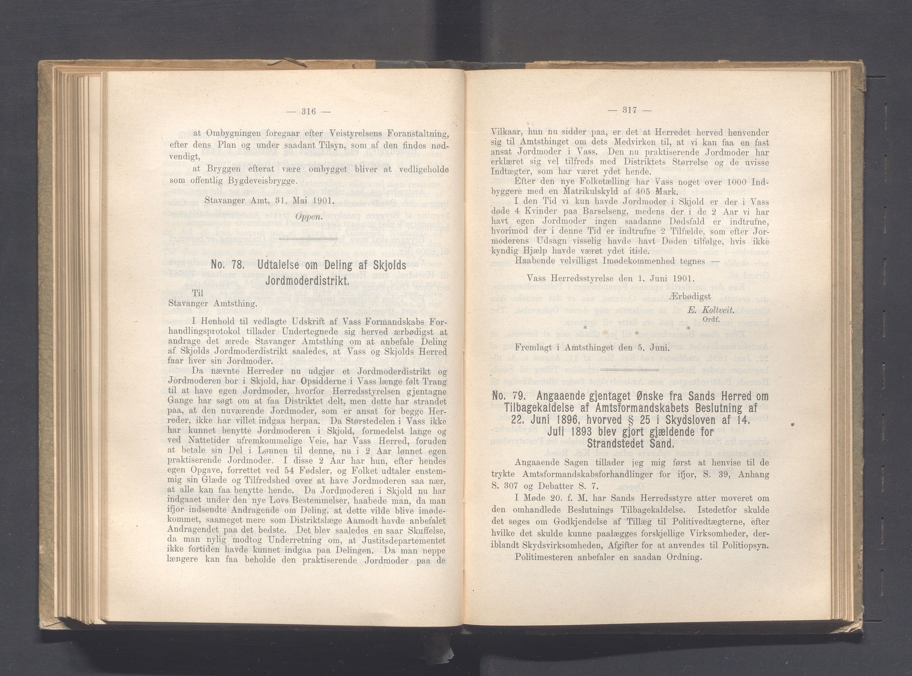 Rogaland fylkeskommune - Fylkesrådmannen , IKAR/A-900/A, 1901, p. 216