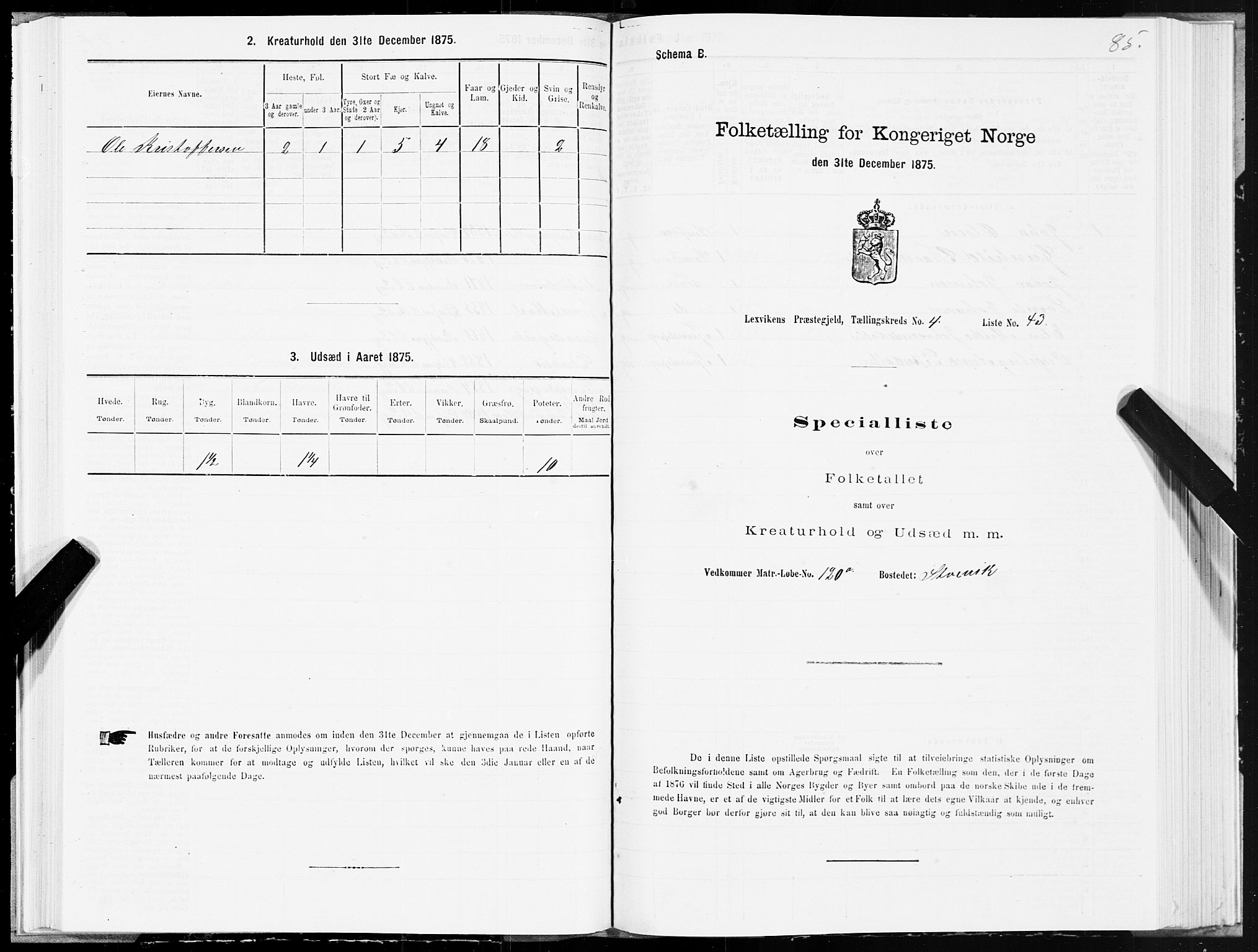 SAT, 1875 census for 1718P Leksvik, 1875, p. 3085