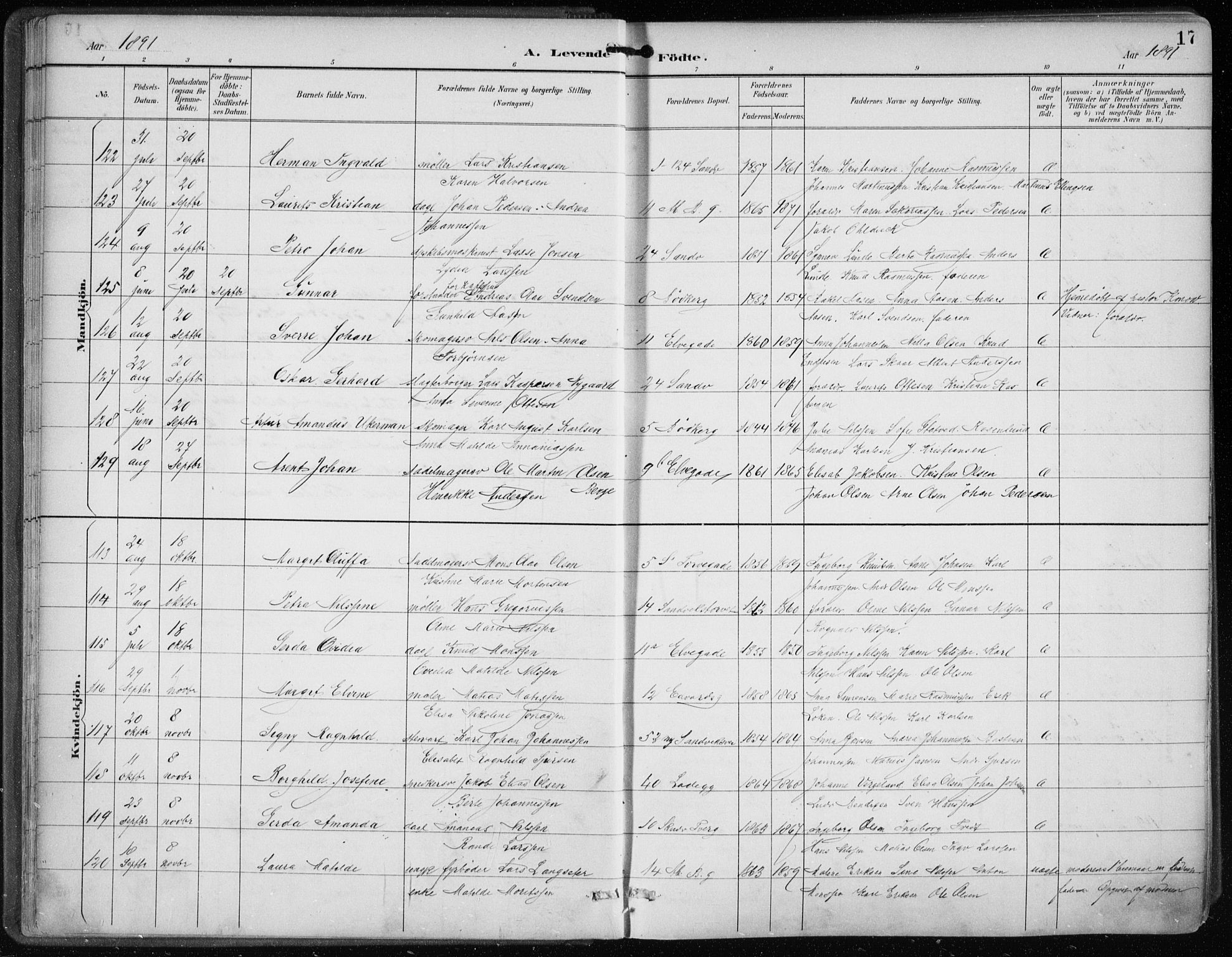 Sandviken Sokneprestembete, SAB/A-77601/H/Ha/L0005: Parish register (official) no. B 2, 1891-1901, p. 17