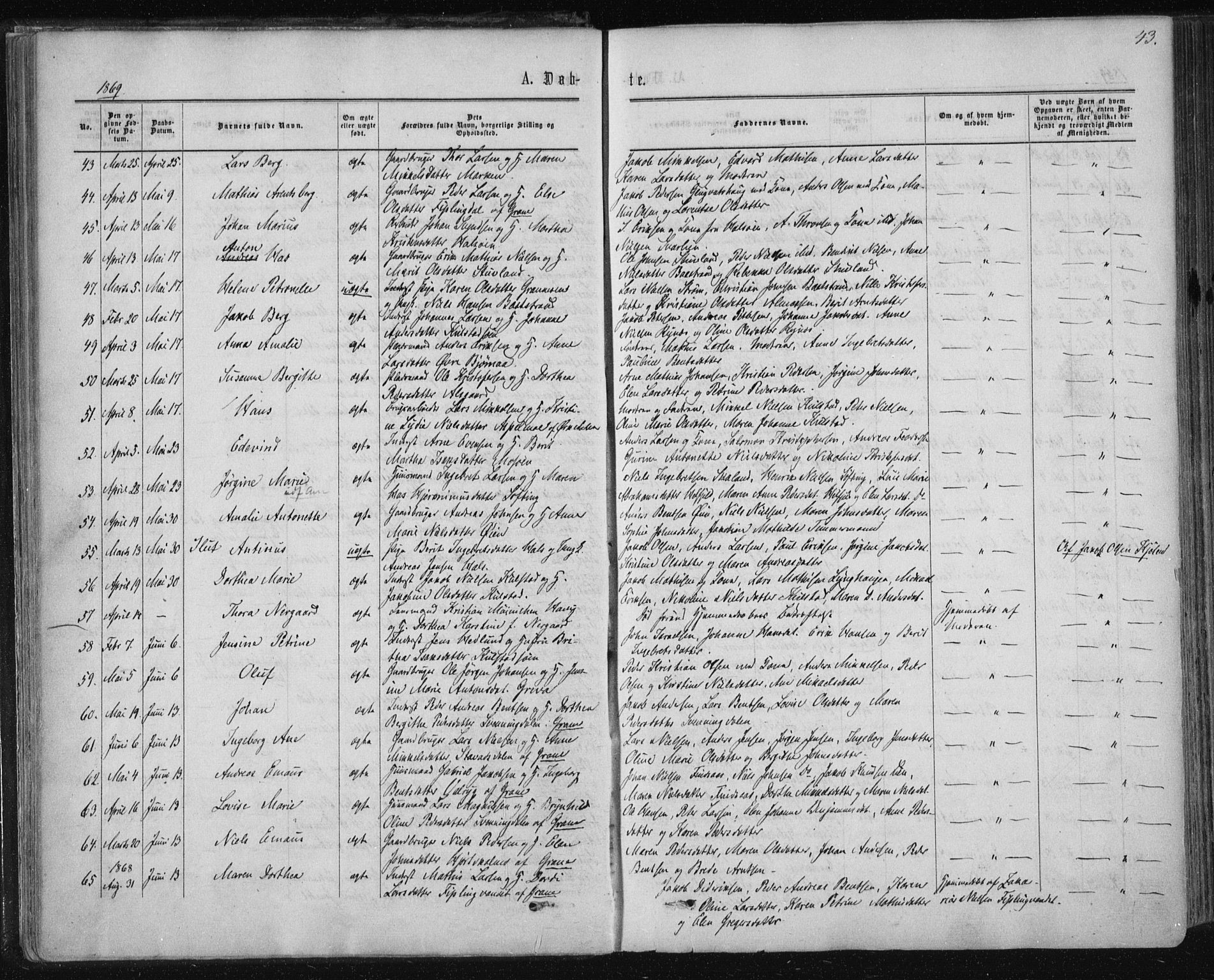 Ministerialprotokoller, klokkerbøker og fødselsregistre - Nordland, SAT/A-1459/820/L0294: Parish register (official) no. 820A15, 1866-1879, p. 43