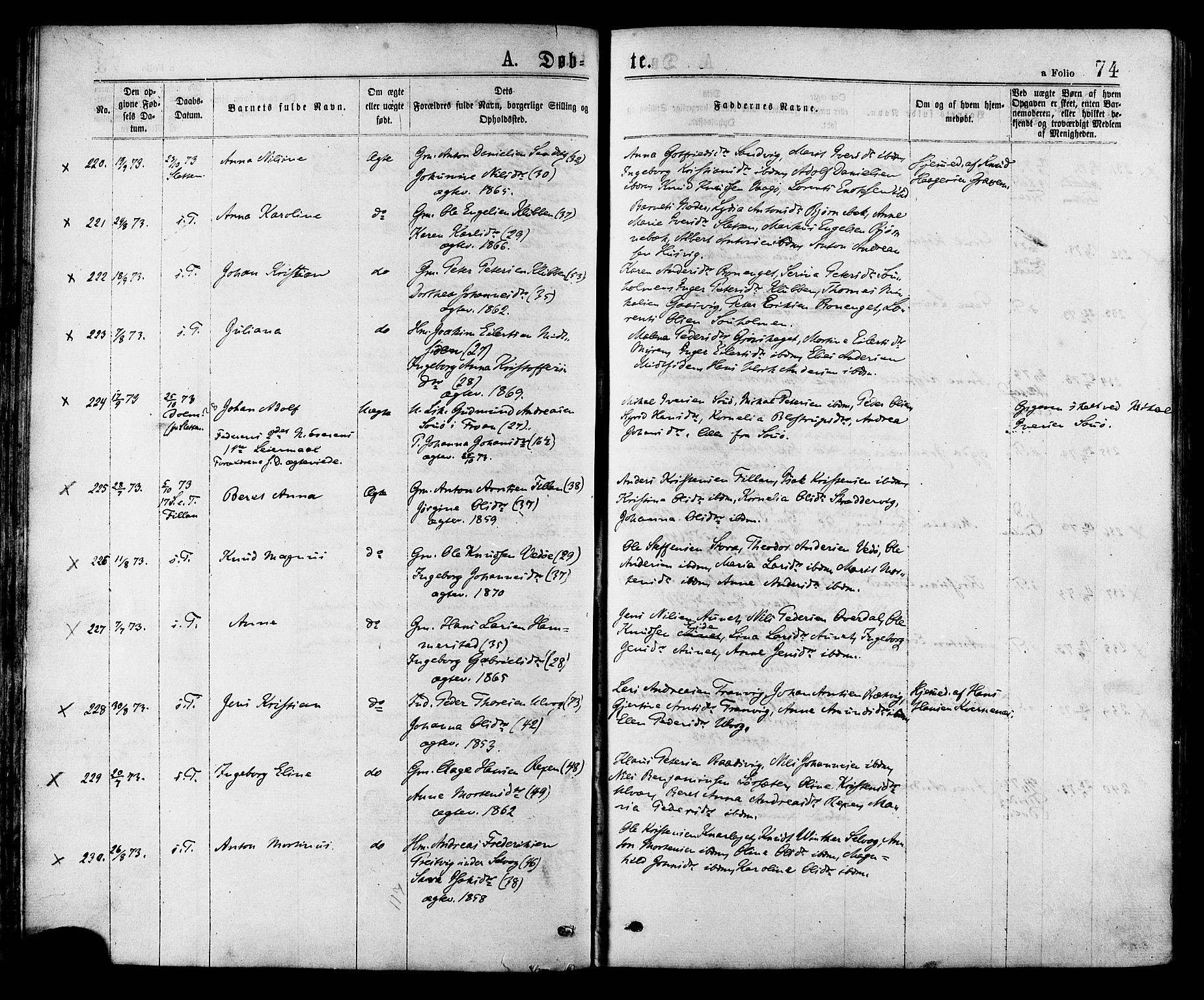 Ministerialprotokoller, klokkerbøker og fødselsregistre - Sør-Trøndelag, AV/SAT-A-1456/634/L0532: Parish register (official) no. 634A08, 1871-1881, p. 74