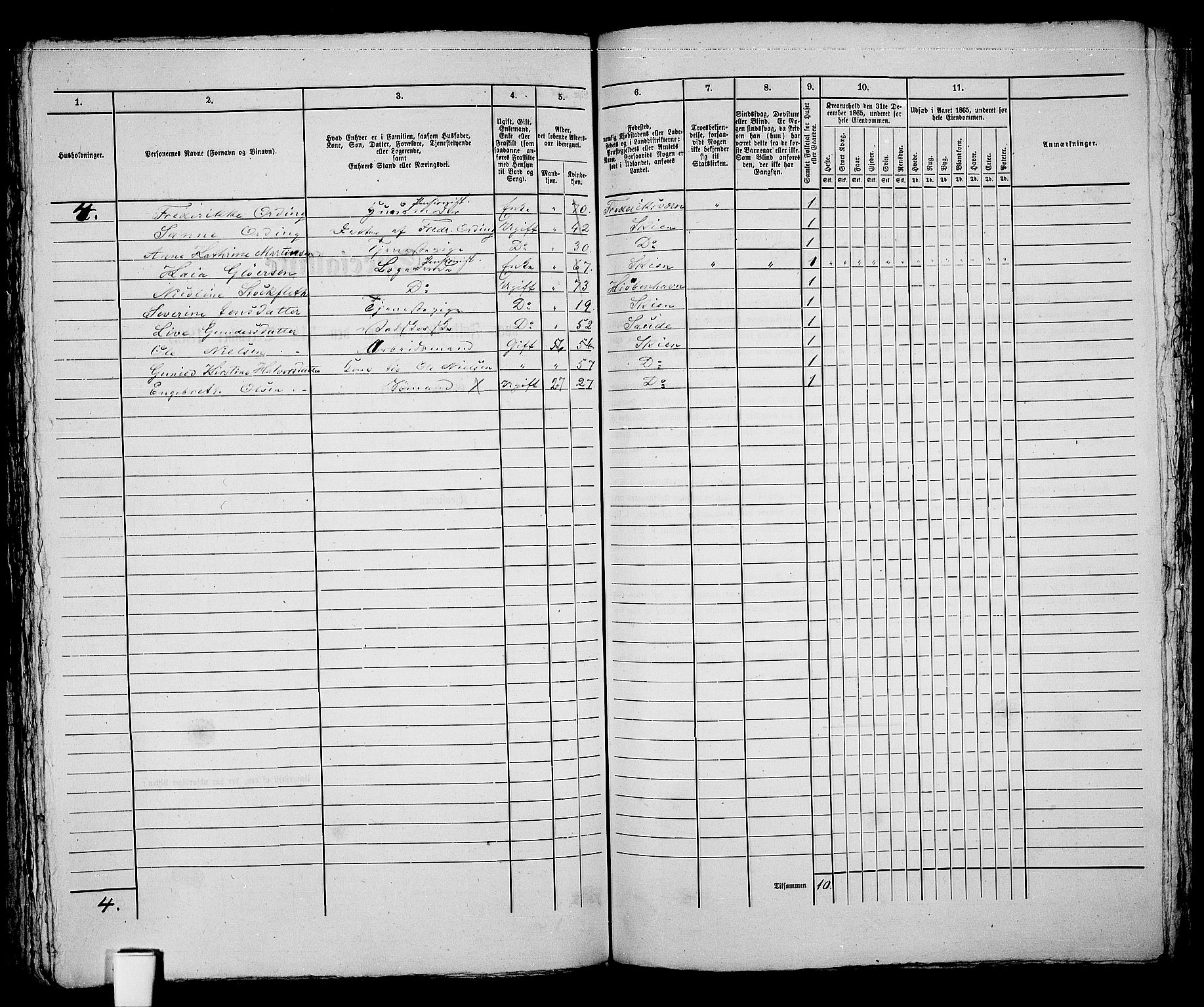 RA, 1865 census for Skien, 1865, p. 295