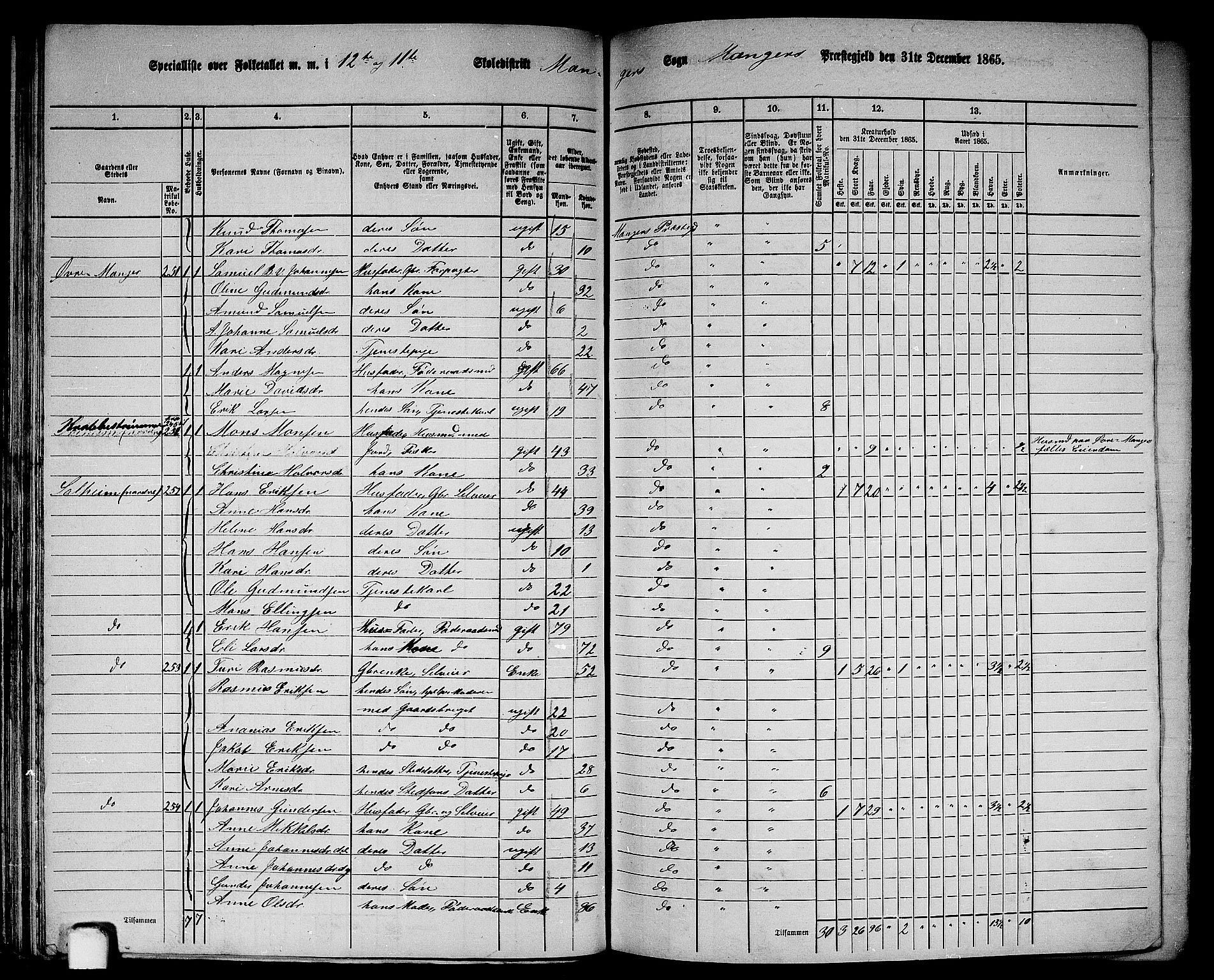 RA, 1865 census for Manger, 1865, p. 60