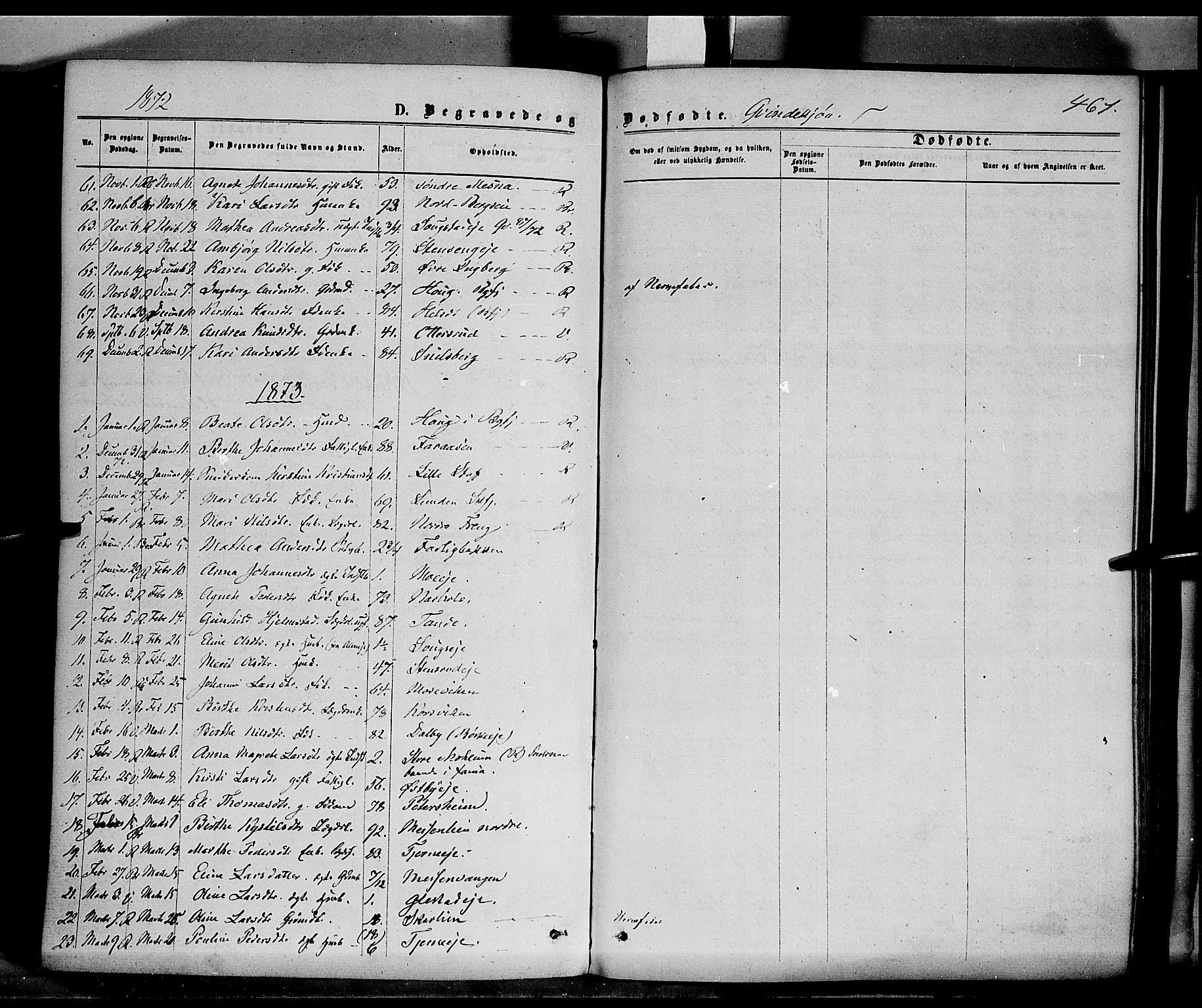 Ringsaker prestekontor, SAH/PREST-014/K/Ka/L0011: Parish register (official) no. 11, 1870-1878, p. 461
