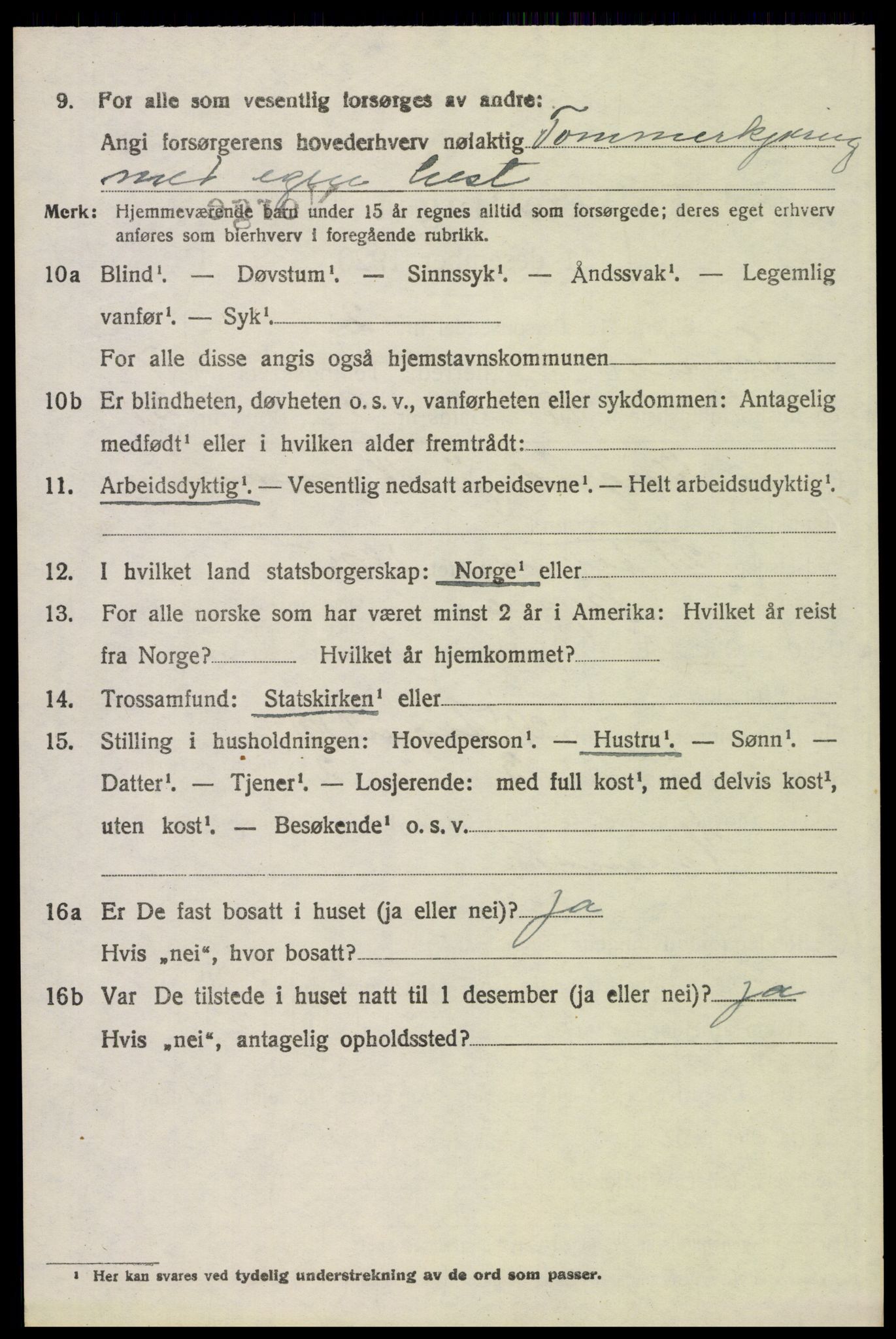 SAH, 1920 census for Trysil, 1920, p. 5380