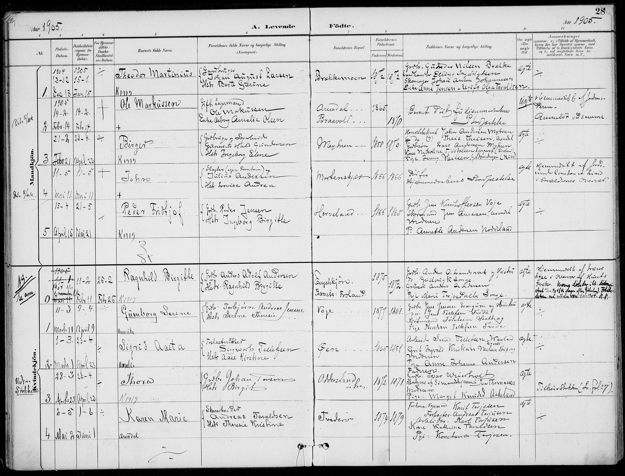 Austre Moland sokneprestkontor, AV/SAK-1111-0001/F/Fa/Faa/L0011: Parish register (official) no. A 11, 1894-1915, p. 28