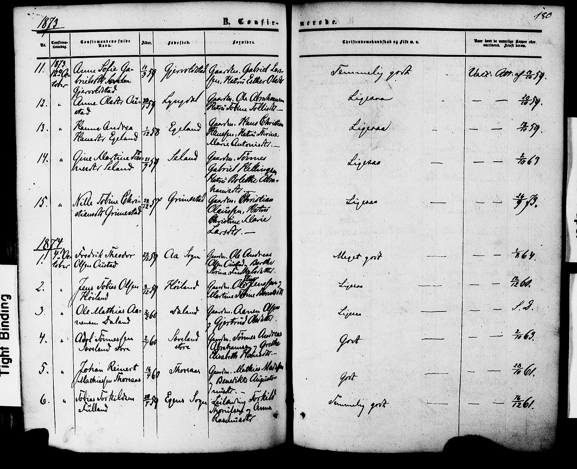 Herad sokneprestkontor, AV/SAK-1111-0018/F/Fa/Faa/L0005: Parish register (official) no. A 5, 1853-1886, p. 180