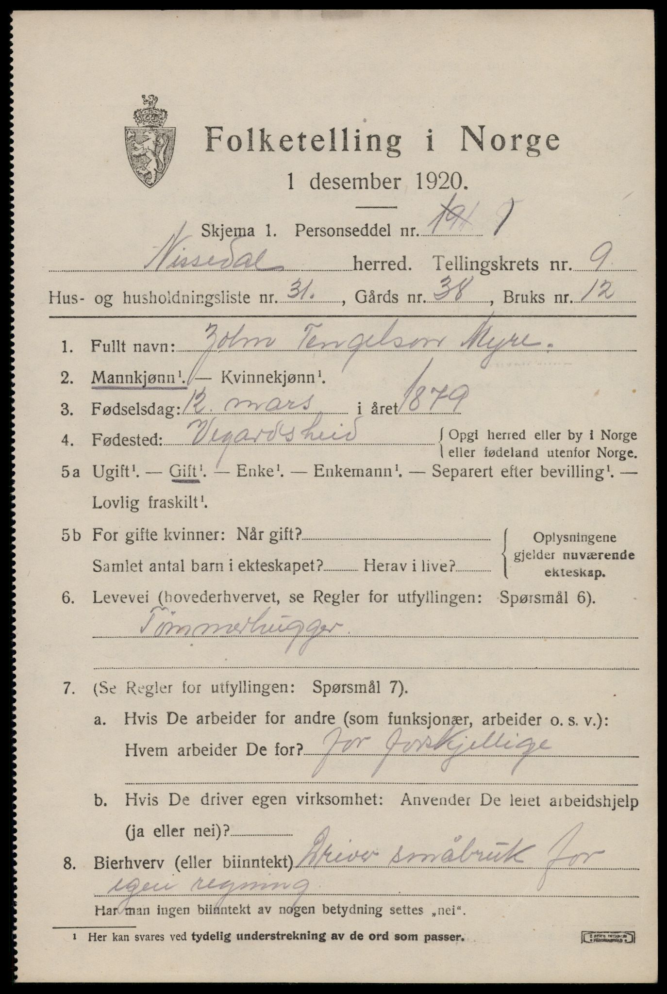 SAKO, 1920 census for Nissedal, 1920, p. 3877