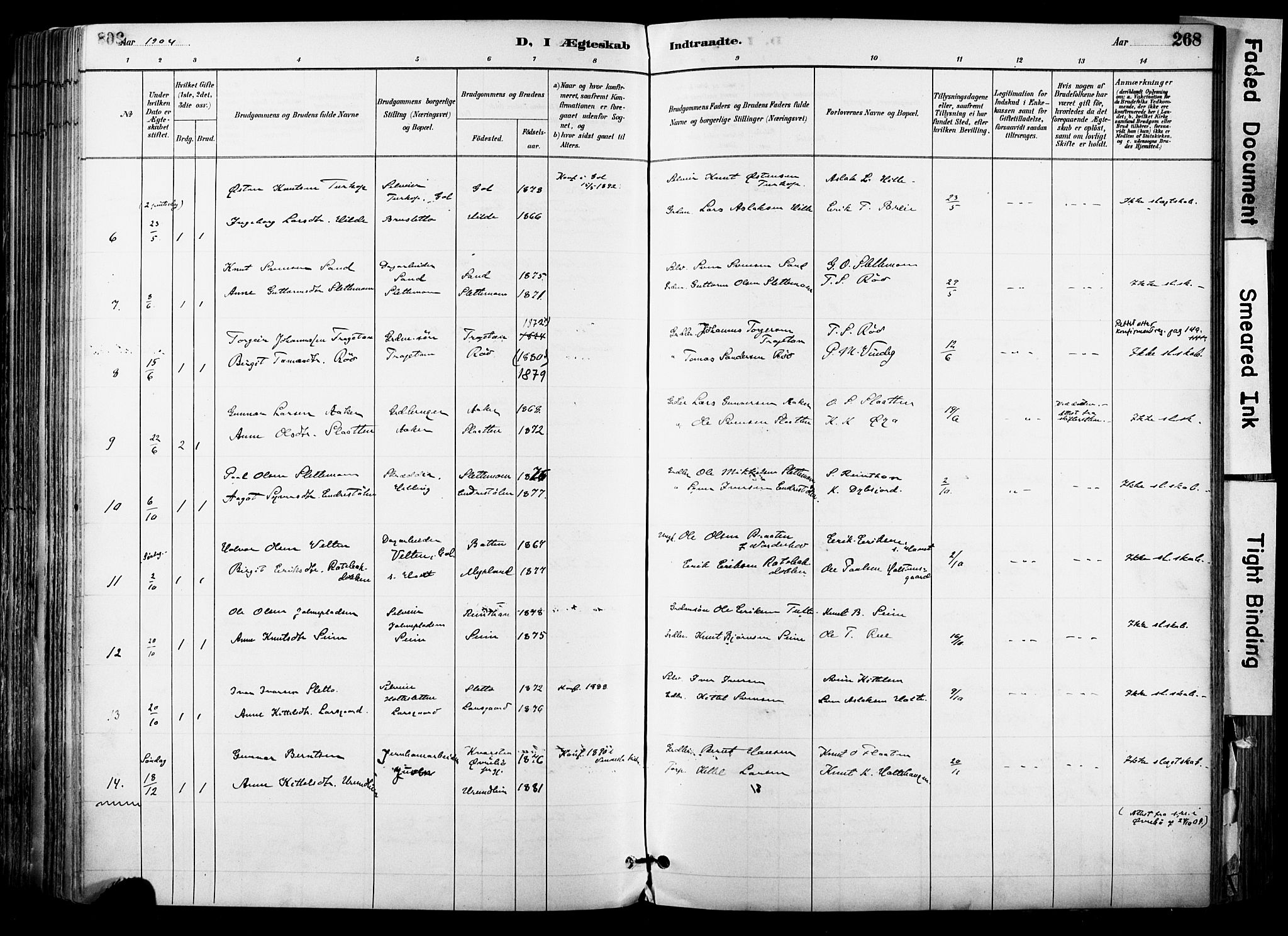 Hol kirkebøker, AV/SAKO-A-227/F/Fa/L0003: Parish register (official) no. I 3, 1887-1918, p. 268