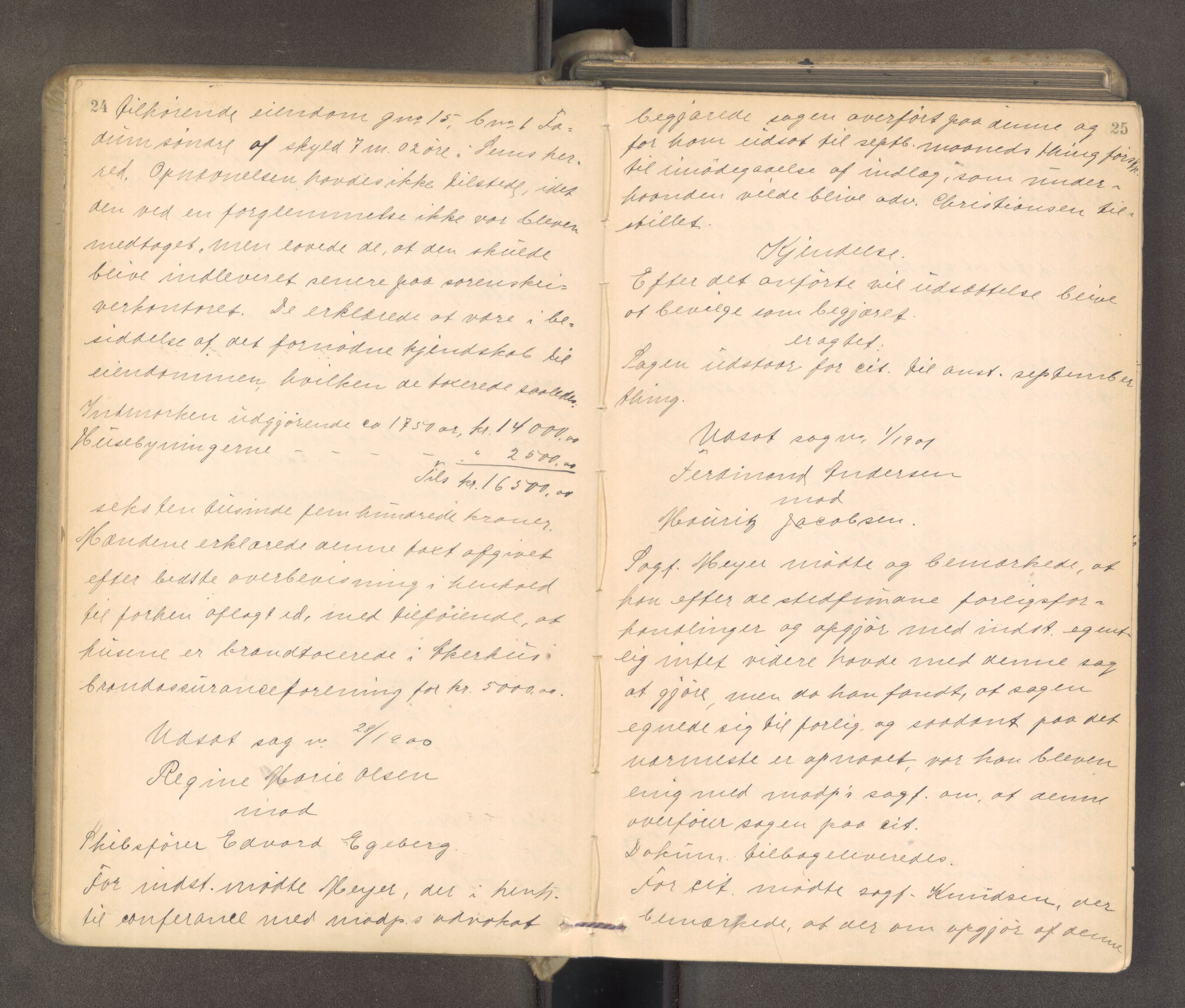 Søndre Jarlsberg sorenskriveri, AV/SAKO-A-129/F/Fa/L0043: Tingbok, 1901-1903, p. 24-25