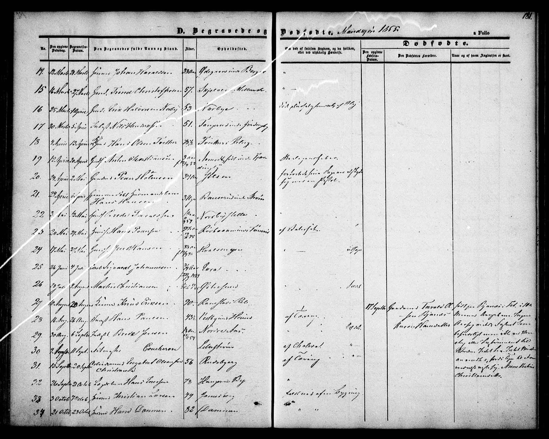 Fet prestekontor Kirkebøker, AV/SAO-A-10370a/F/Fa/L0010: Parish register (official) no. I 10, 1847-1859, p. 181