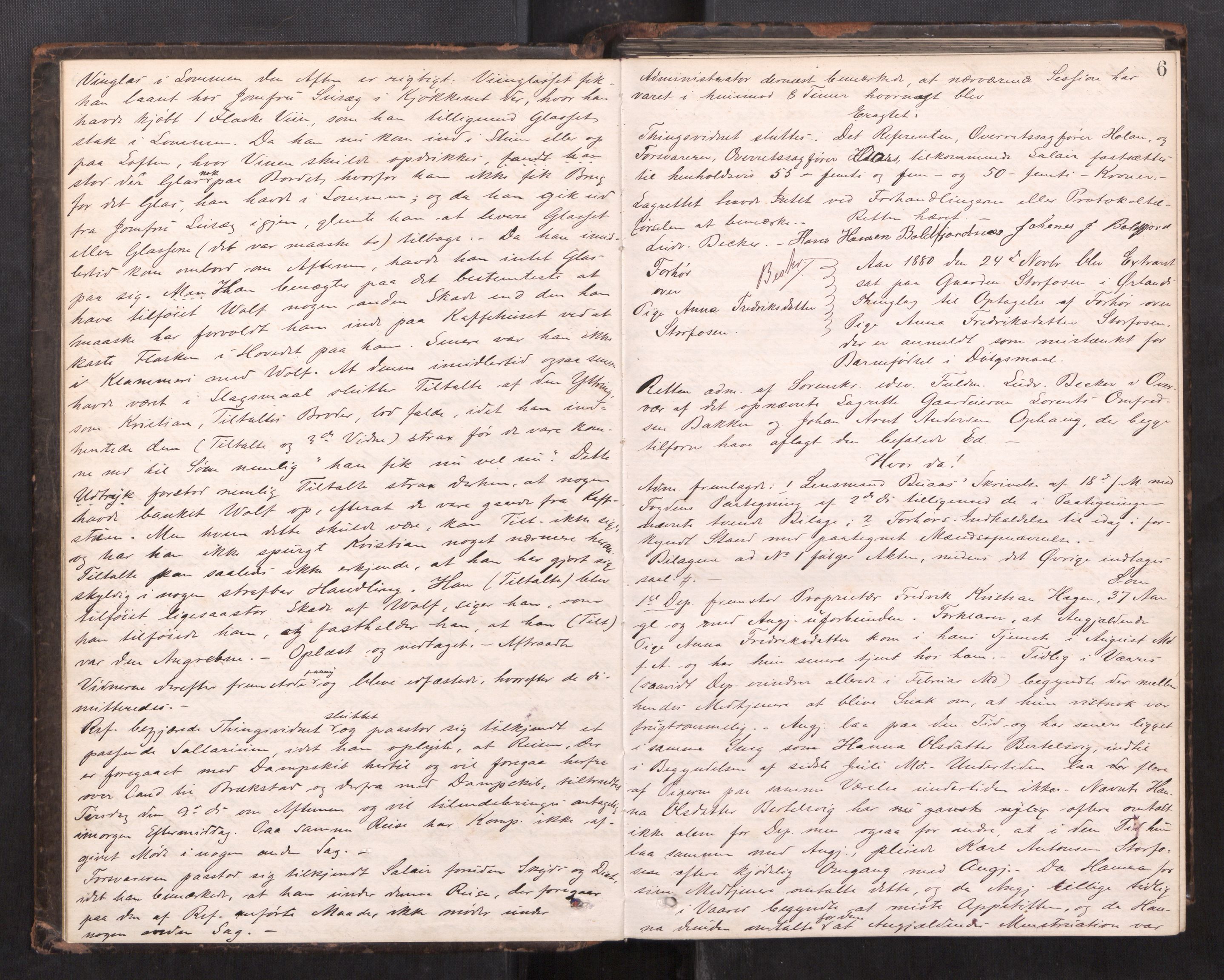 Fosen sorenskriveri, AV/SAT-A-1107/1/1/1B/L0024: Ekstrarettsprotokoll, 1880-1884, p. 5b-6a