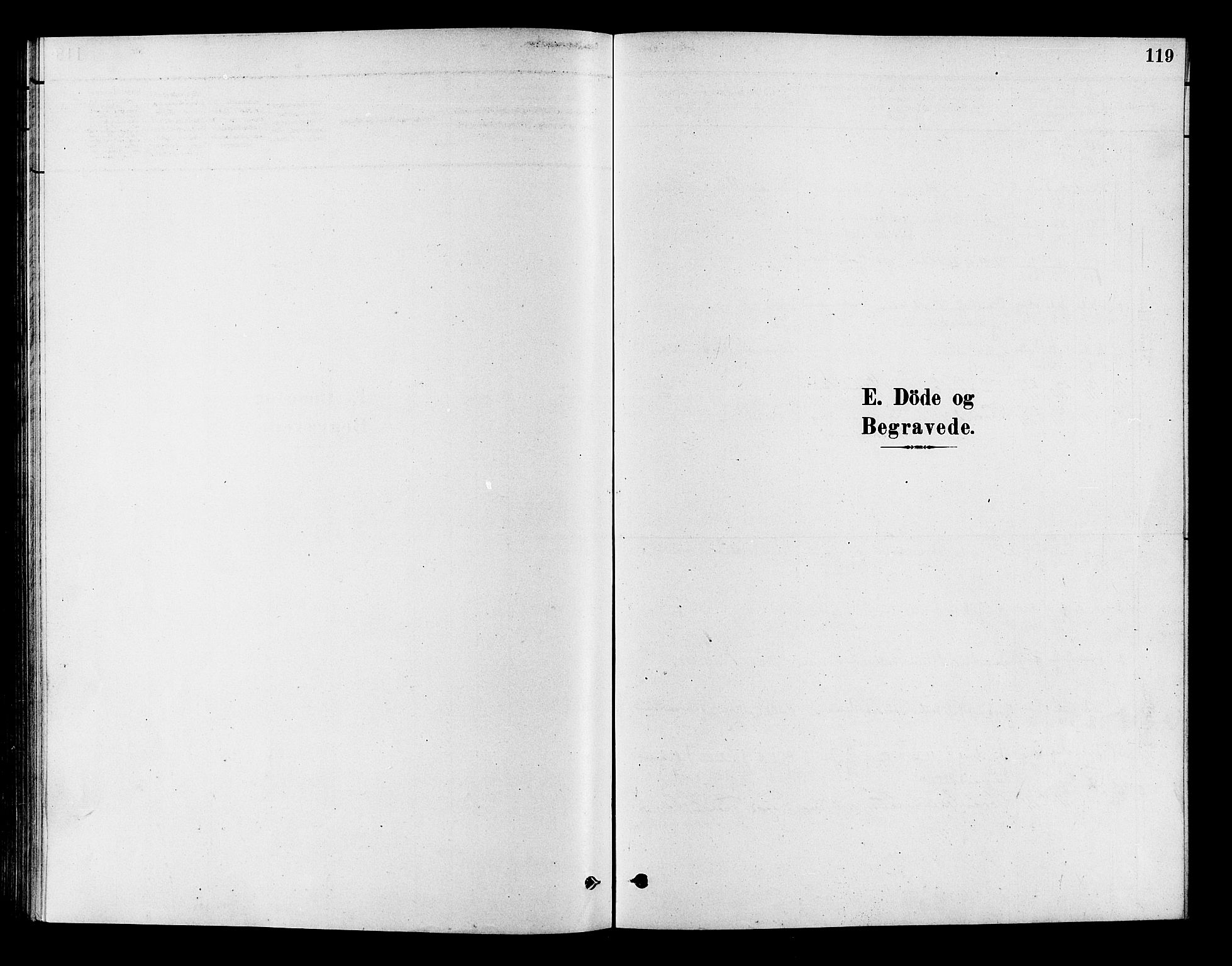 Flesberg kirkebøker, SAKO/A-18/F/Fc/L0001: Parish register (official) no. III 1, 1879-1905, p. 119
