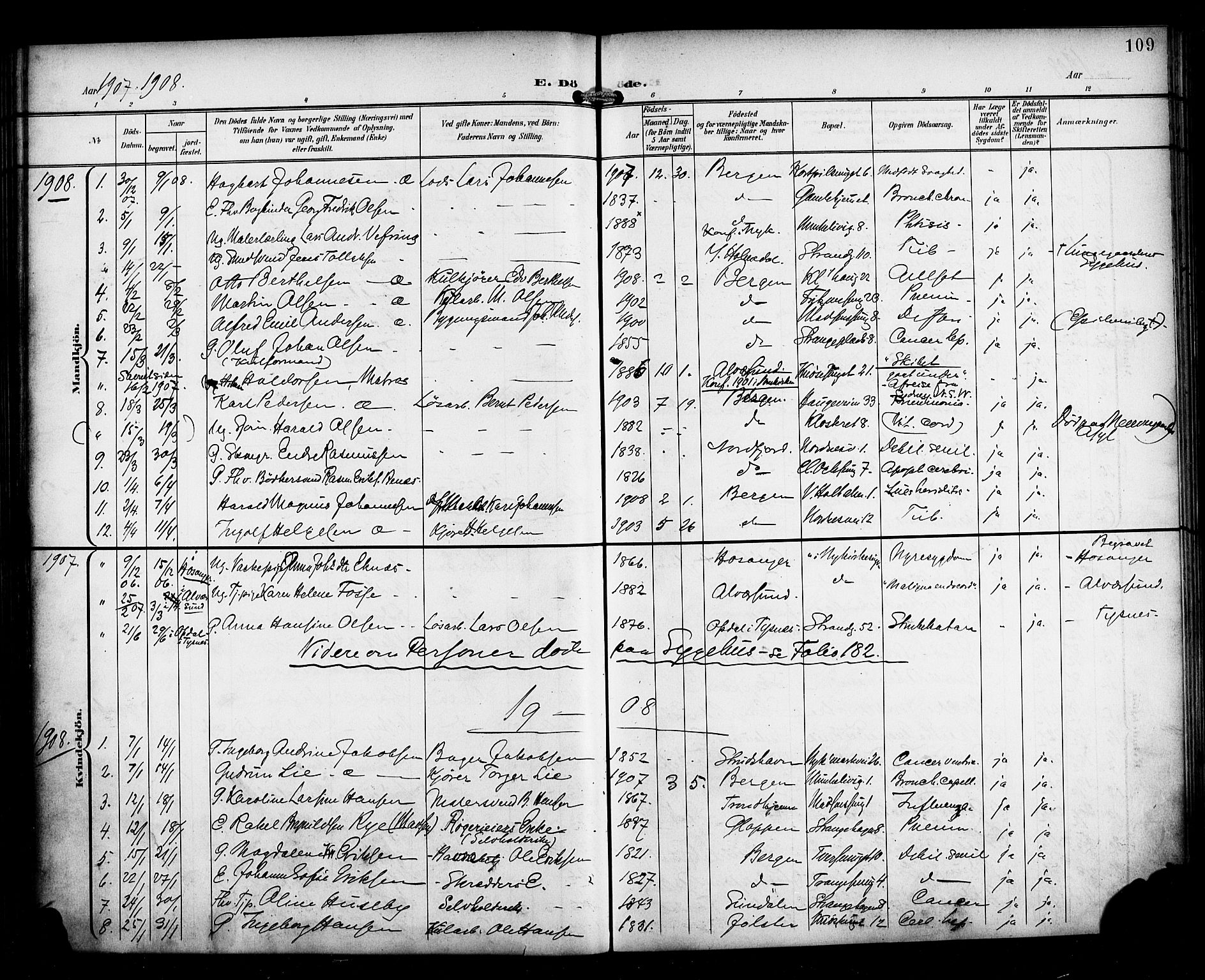 Nykirken Sokneprestembete, SAB/A-77101/H/Haa/L0045: Parish register (official) no. E 5, 1899-1917, p. 109