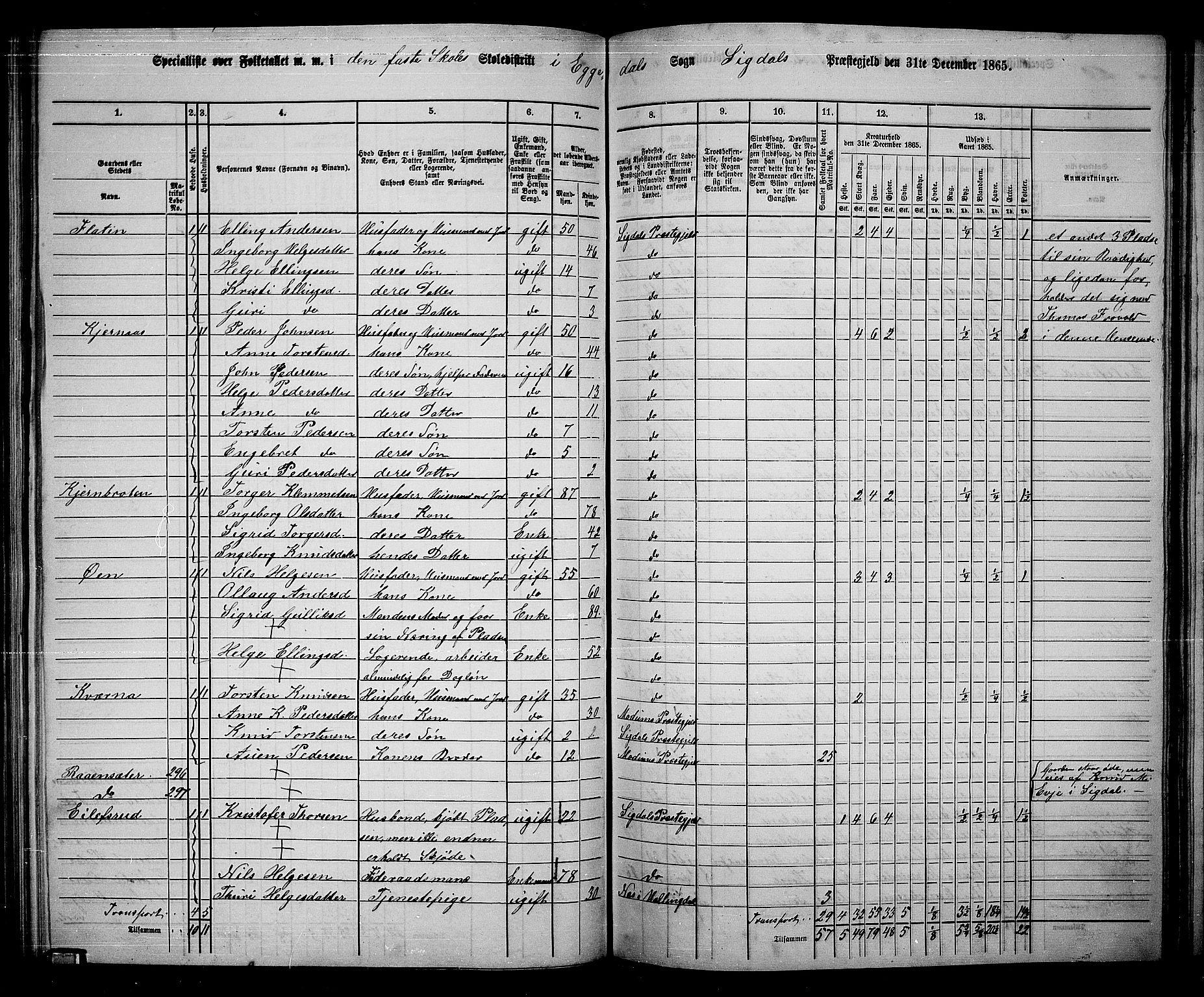 RA, 1865 census for Sigdal, 1865, p. 160