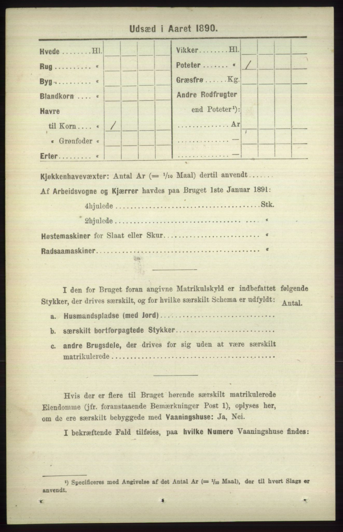 RA, 1891 census for 1251 Bruvik, 1891, p. 4804