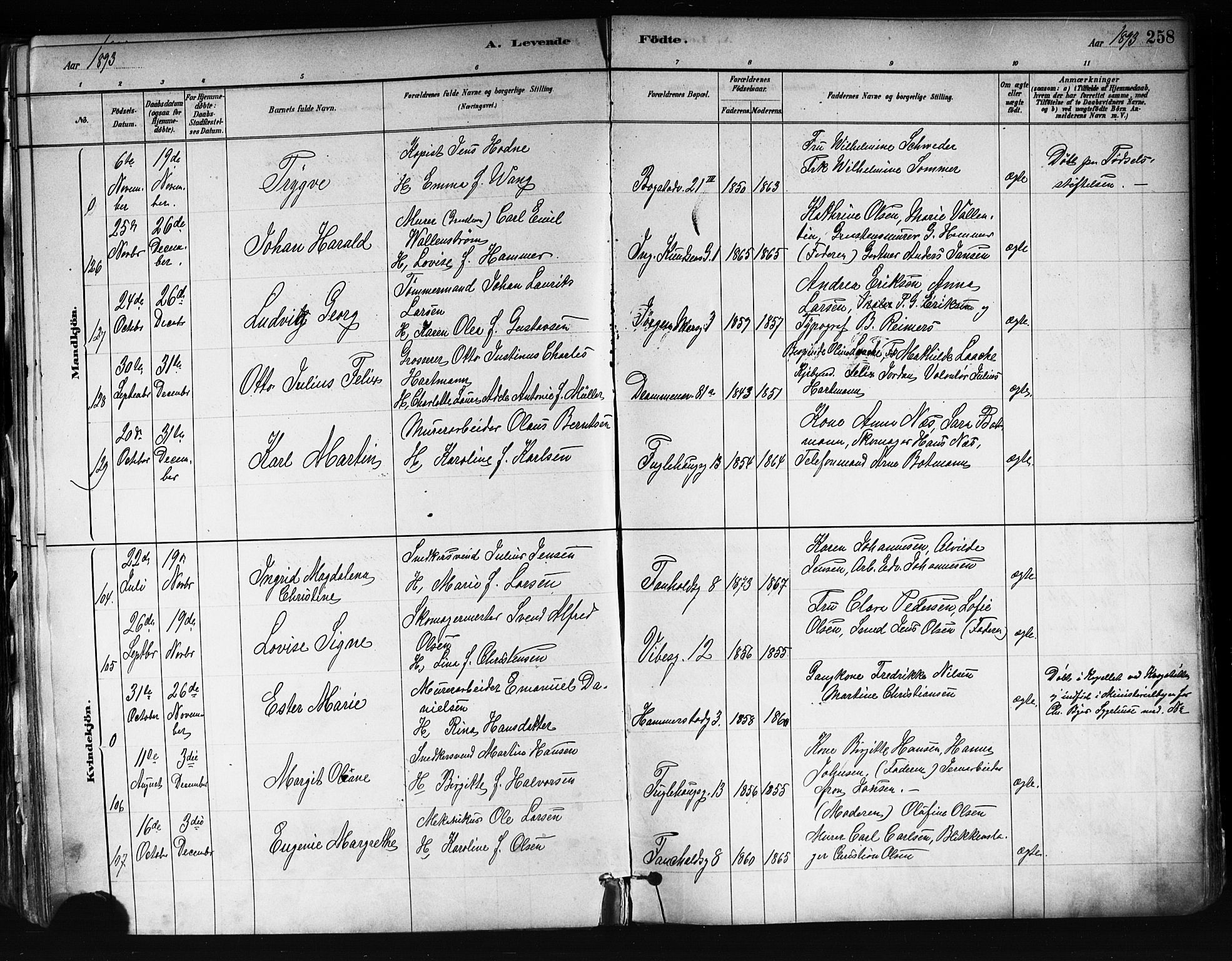 Uranienborg prestekontor Kirkebøker, AV/SAO-A-10877/F/Fa/L0001: Parish register (official) no. 1, 1880-1895, p. 258