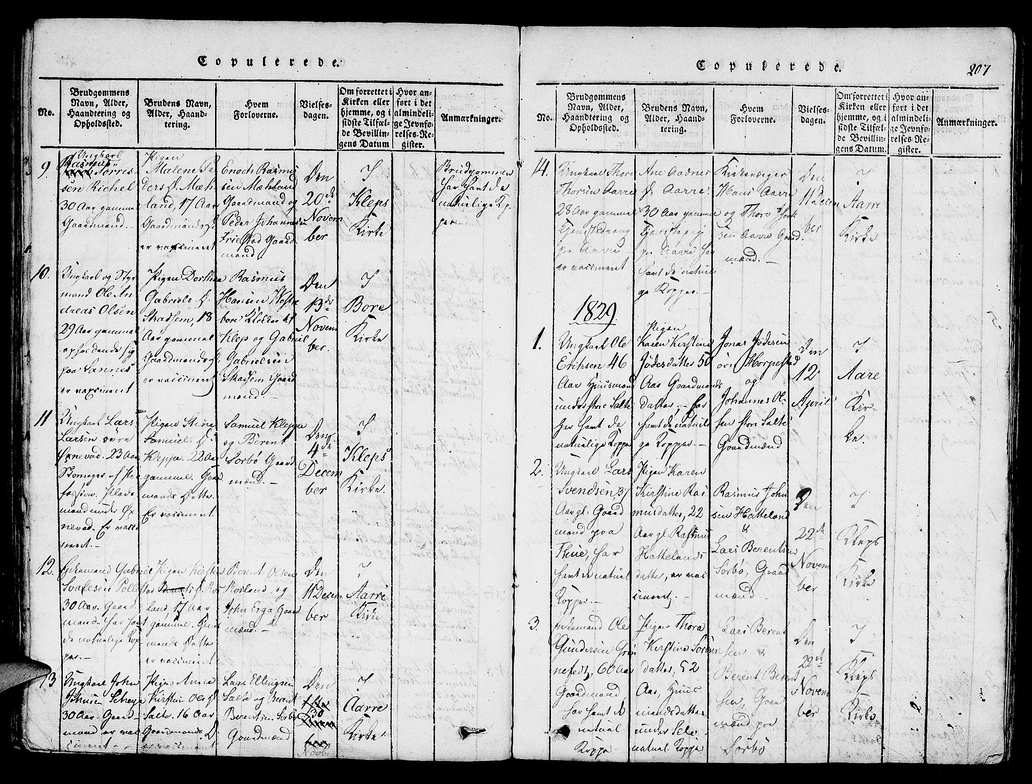 Klepp sokneprestkontor, SAST/A-101803/001/3/30BA/L0002: Parish register (official) no. A 2, 1816-1833, p. 207