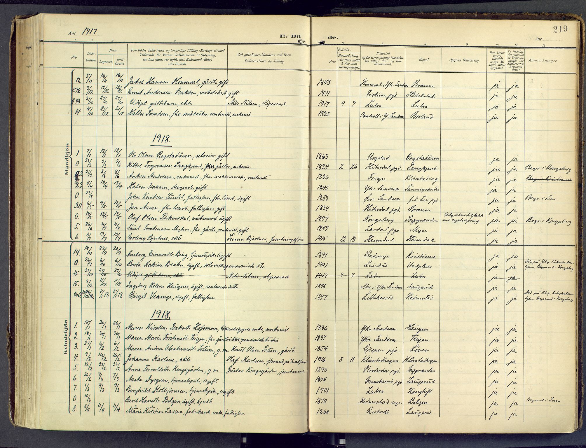 Sandsvær kirkebøker, SAKO/A-244/F/Fd/L0002: Parish register (official) no. IV 2, 1906-1943, p. 219