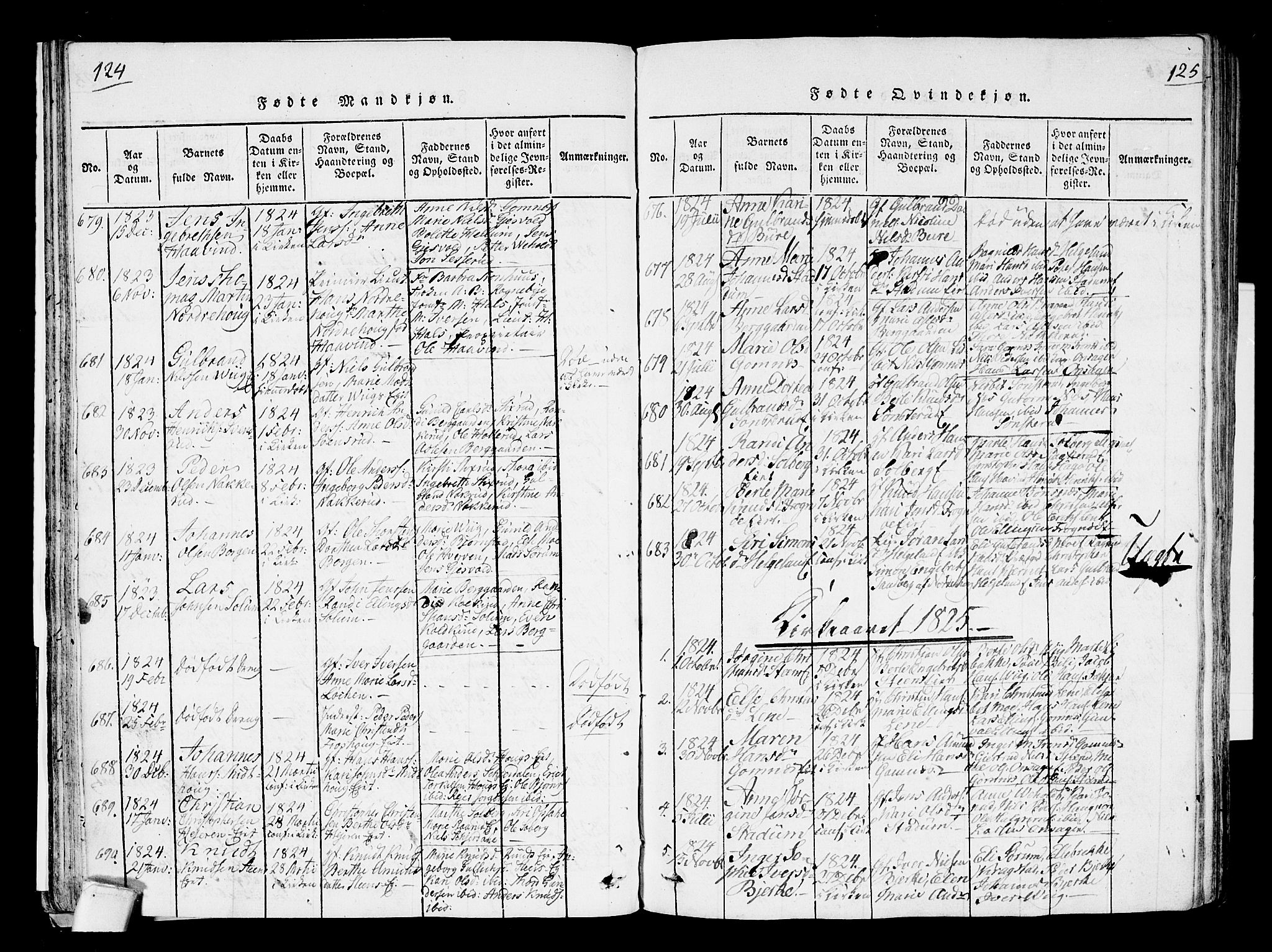 Hole kirkebøker, SAKO/A-228/F/Fa/L0004: Parish register (official) no. I 4, 1814-1833, p. 124-125