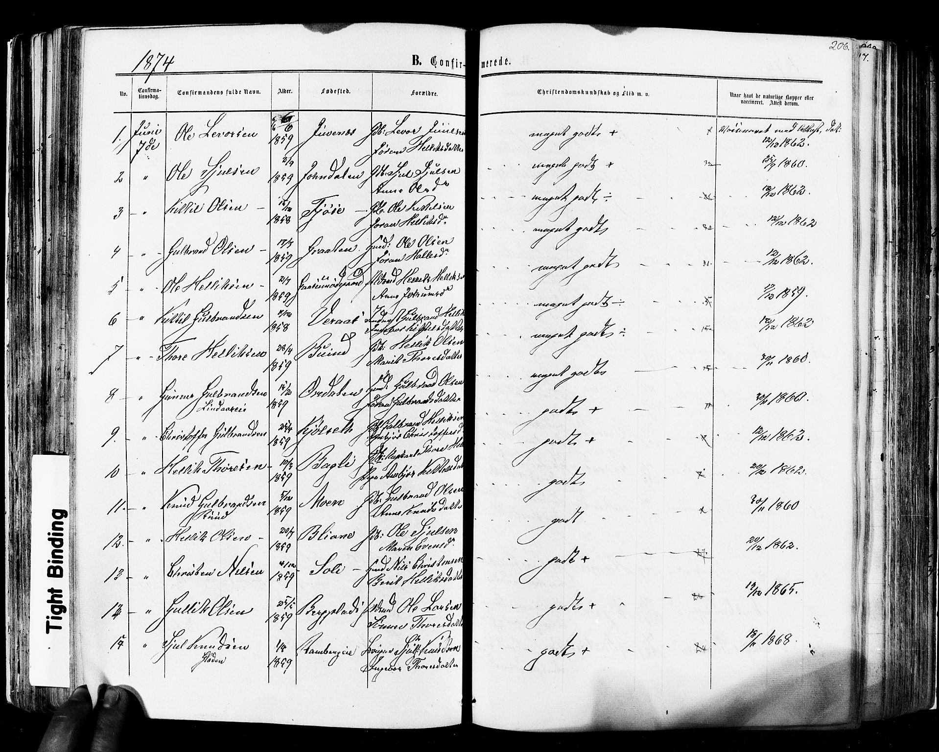 Flesberg kirkebøker, SAKO/A-18/F/Fa/L0007: Parish register (official) no. I 7, 1861-1878, p. 206