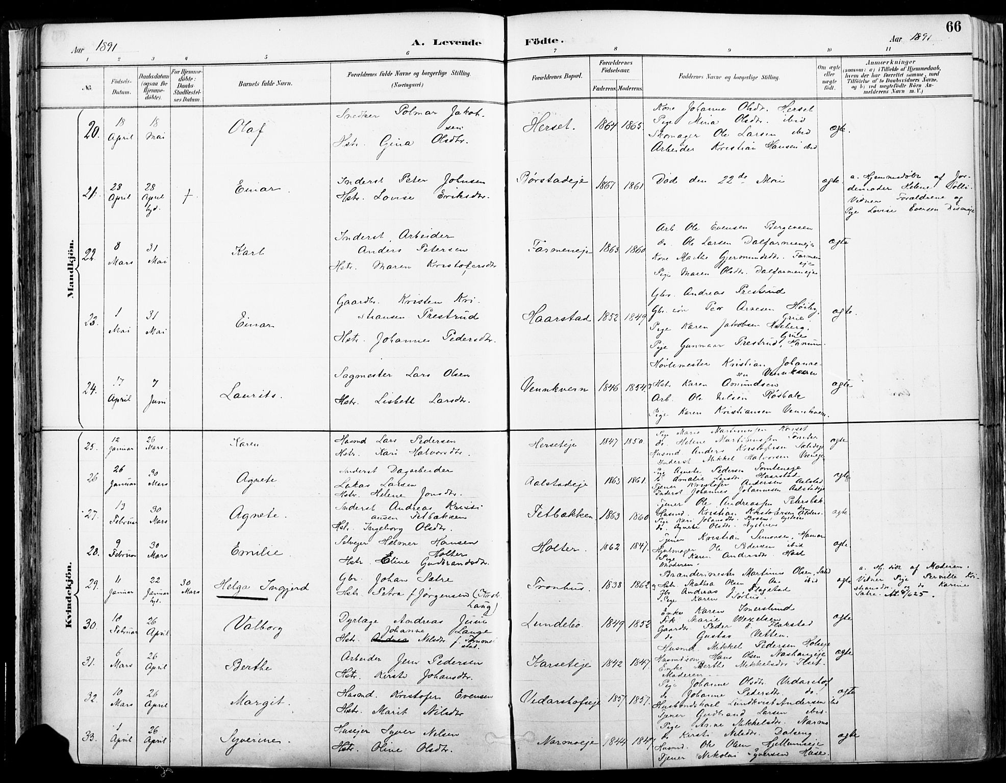 Vang prestekontor, Hedmark, AV/SAH-PREST-008/H/Ha/Haa/L0019A: Parish register (official) no. 19, 1886-1900, p. 66