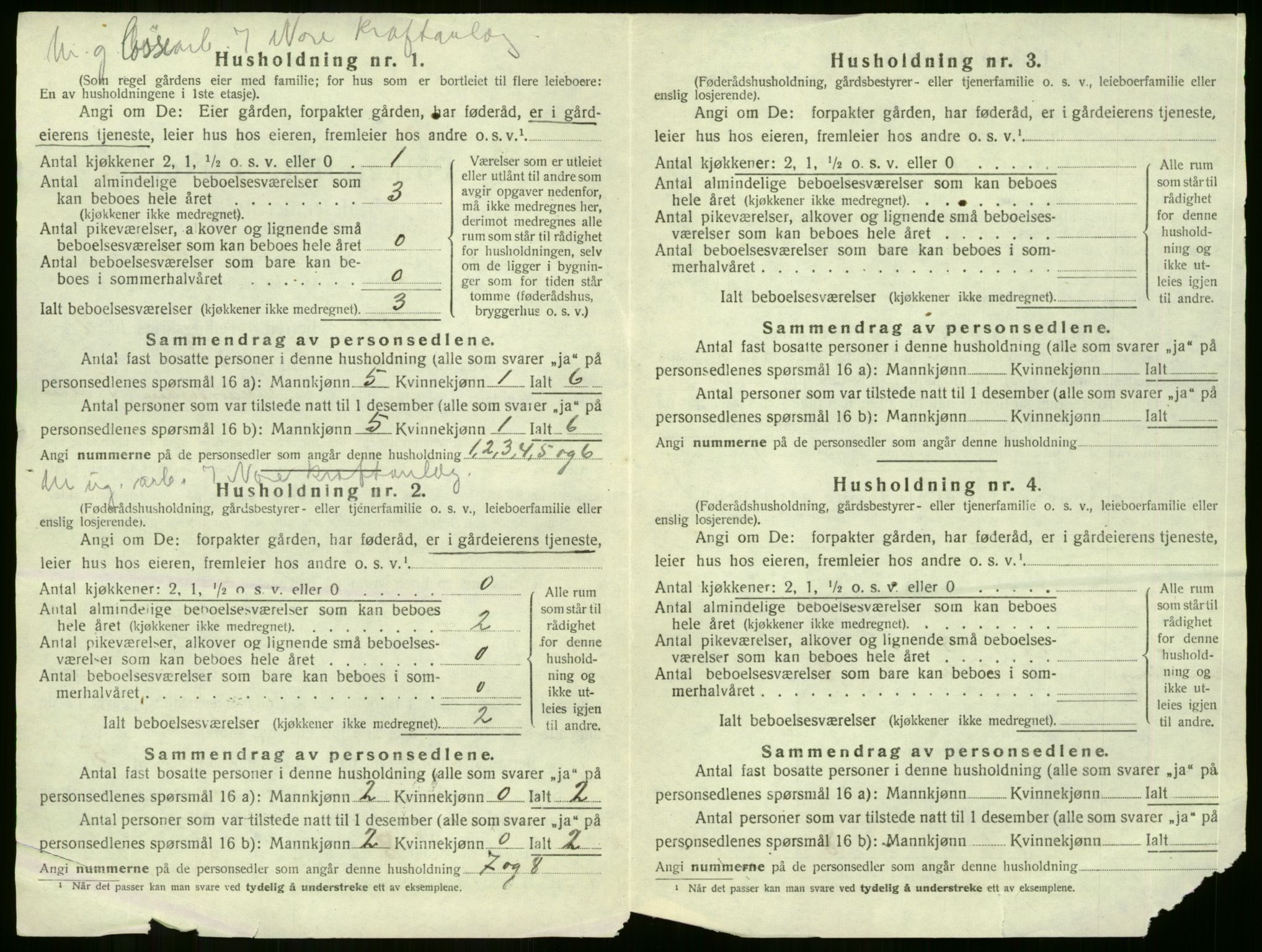 SAKO, 1920 census for Nore, 1920, p. 705