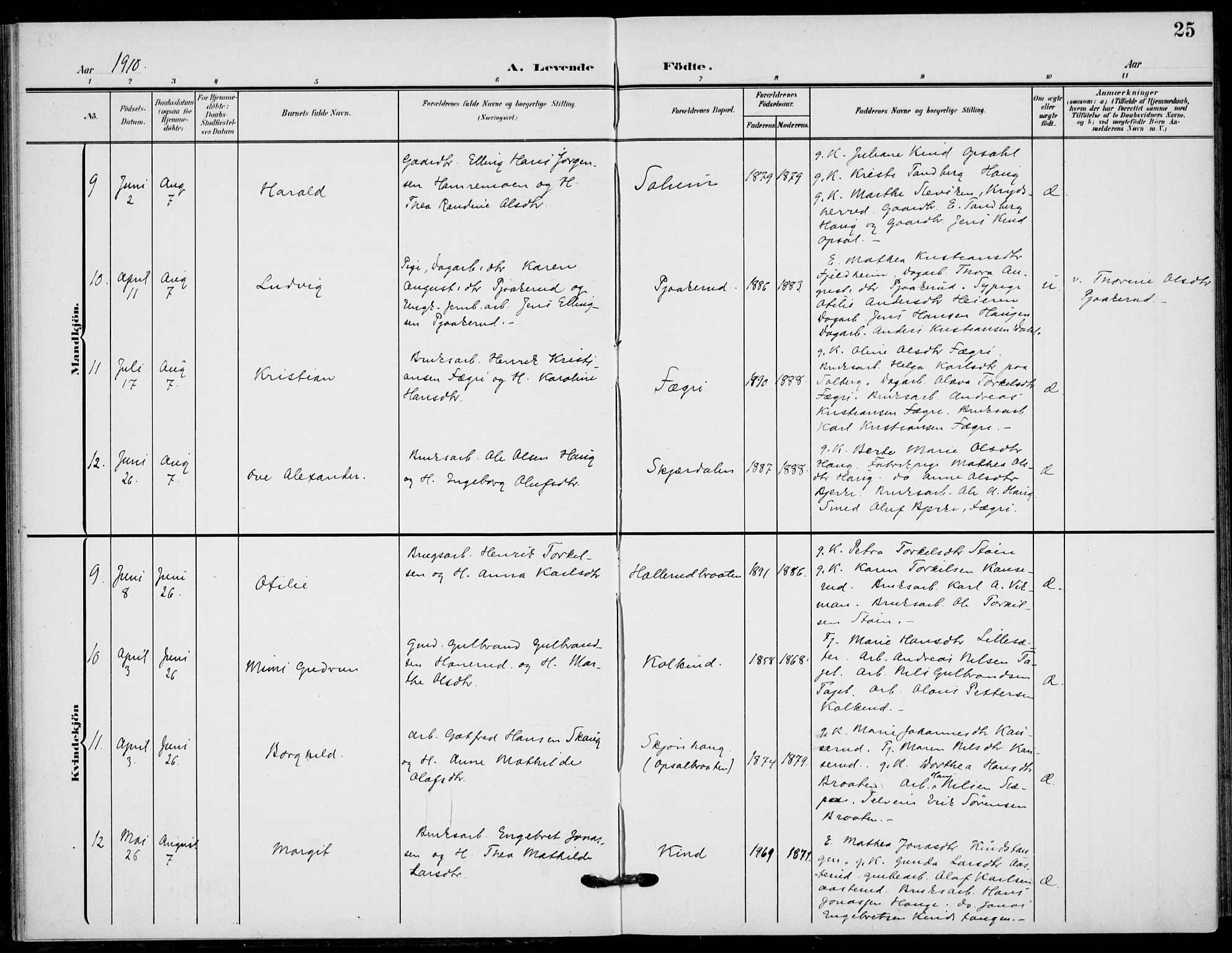 Hole kirkebøker, SAKO/A-228/F/Fb/L0003: Parish register (official) no. II 3, 1906-1916, p. 25