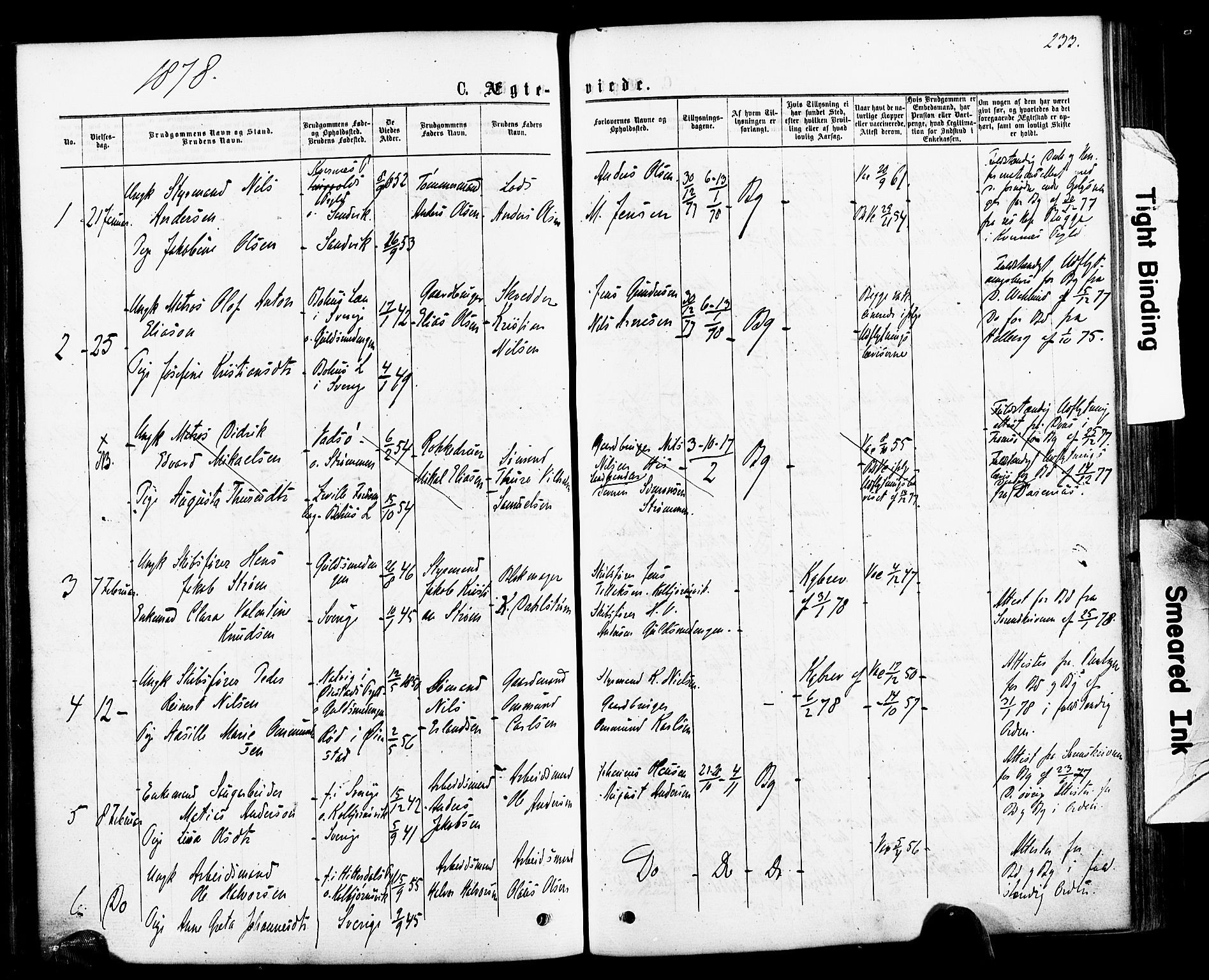 Hisøy sokneprestkontor, AV/SAK-1111-0020/F/Fa/L0002: Parish register (official) no. A 2, 1872-1880, p. 233