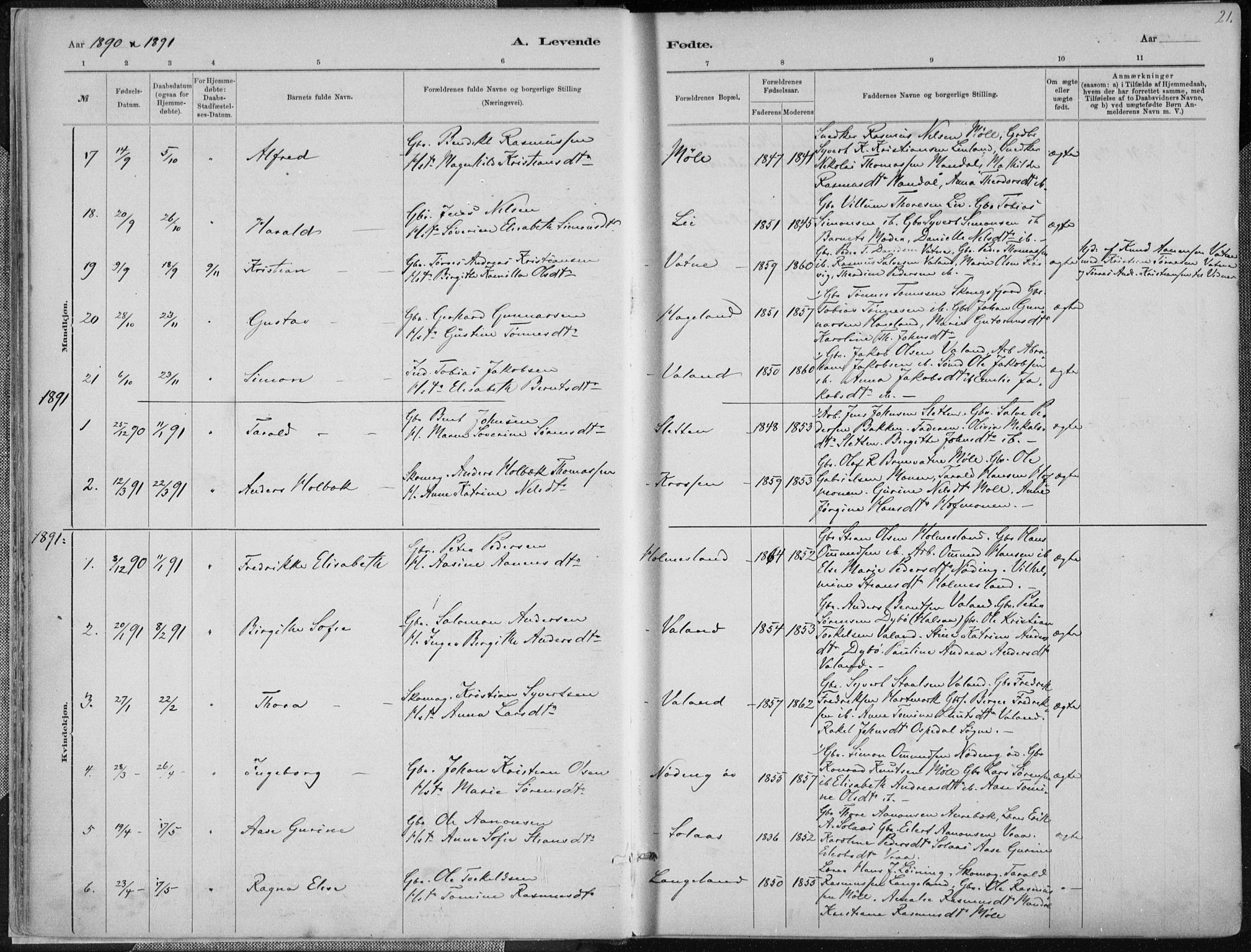 Holum sokneprestkontor, SAK/1111-0022/F/Fa/Faa/L0007: Parish register (official) no. A 7, 1884-1907, p. 21