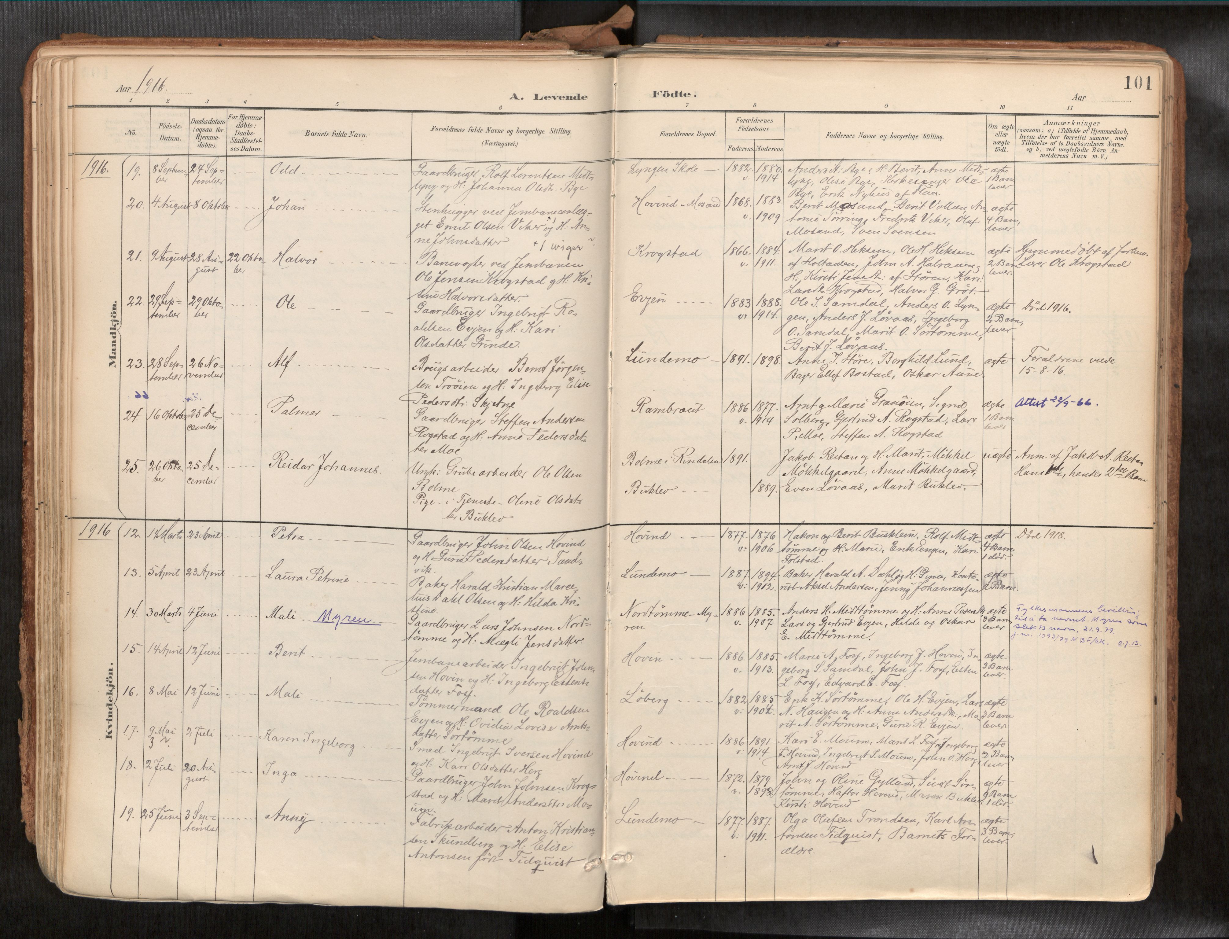 Ministerialprotokoller, klokkerbøker og fødselsregistre - Sør-Trøndelag, SAT/A-1456/692/L1105b: Parish register (official) no. 692A06, 1891-1934, p. 101