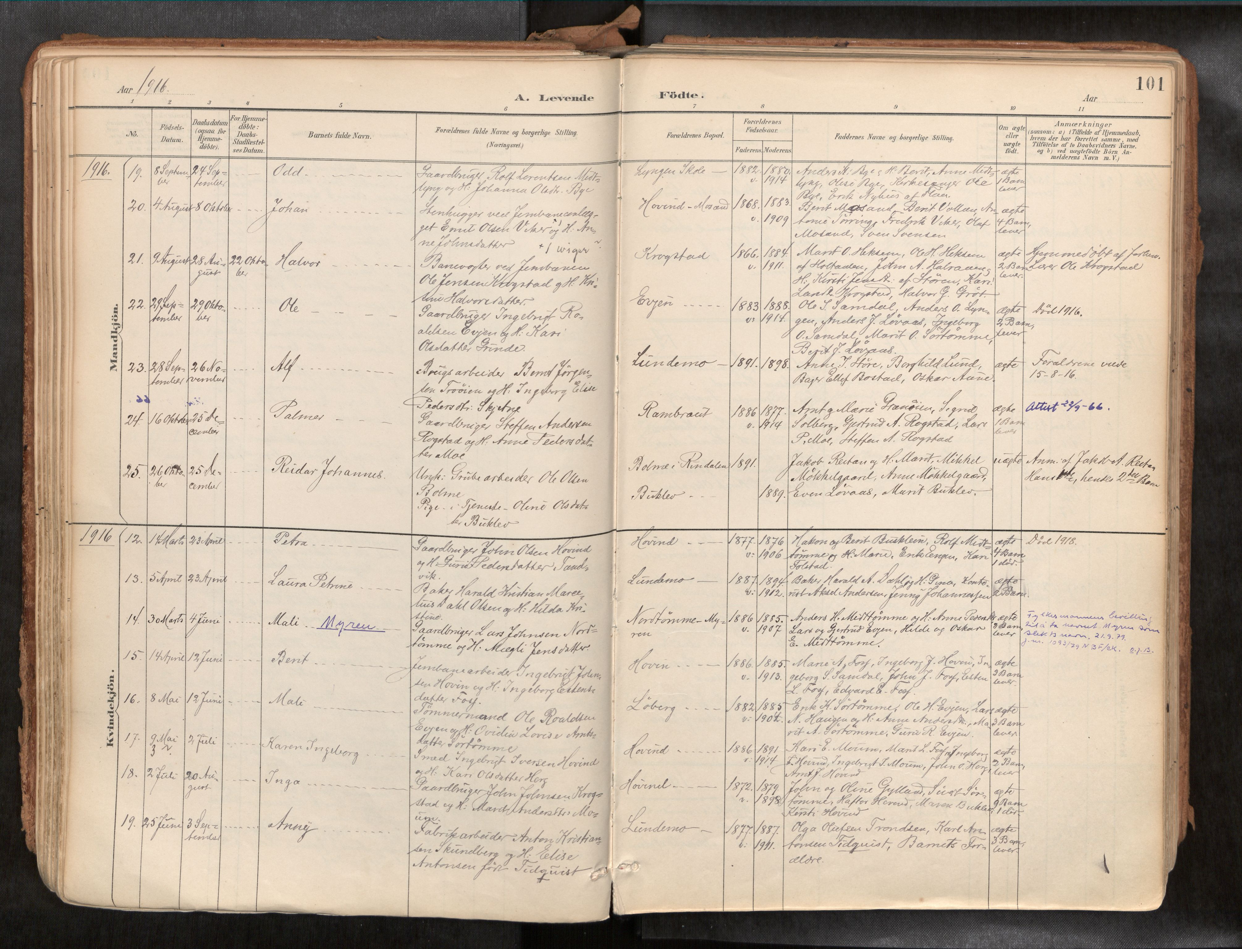 Ministerialprotokoller, klokkerbøker og fødselsregistre - Sør-Trøndelag, AV/SAT-A-1456/692/L1105b: Parish register (official) no. 692A06, 1891-1934, p. 101