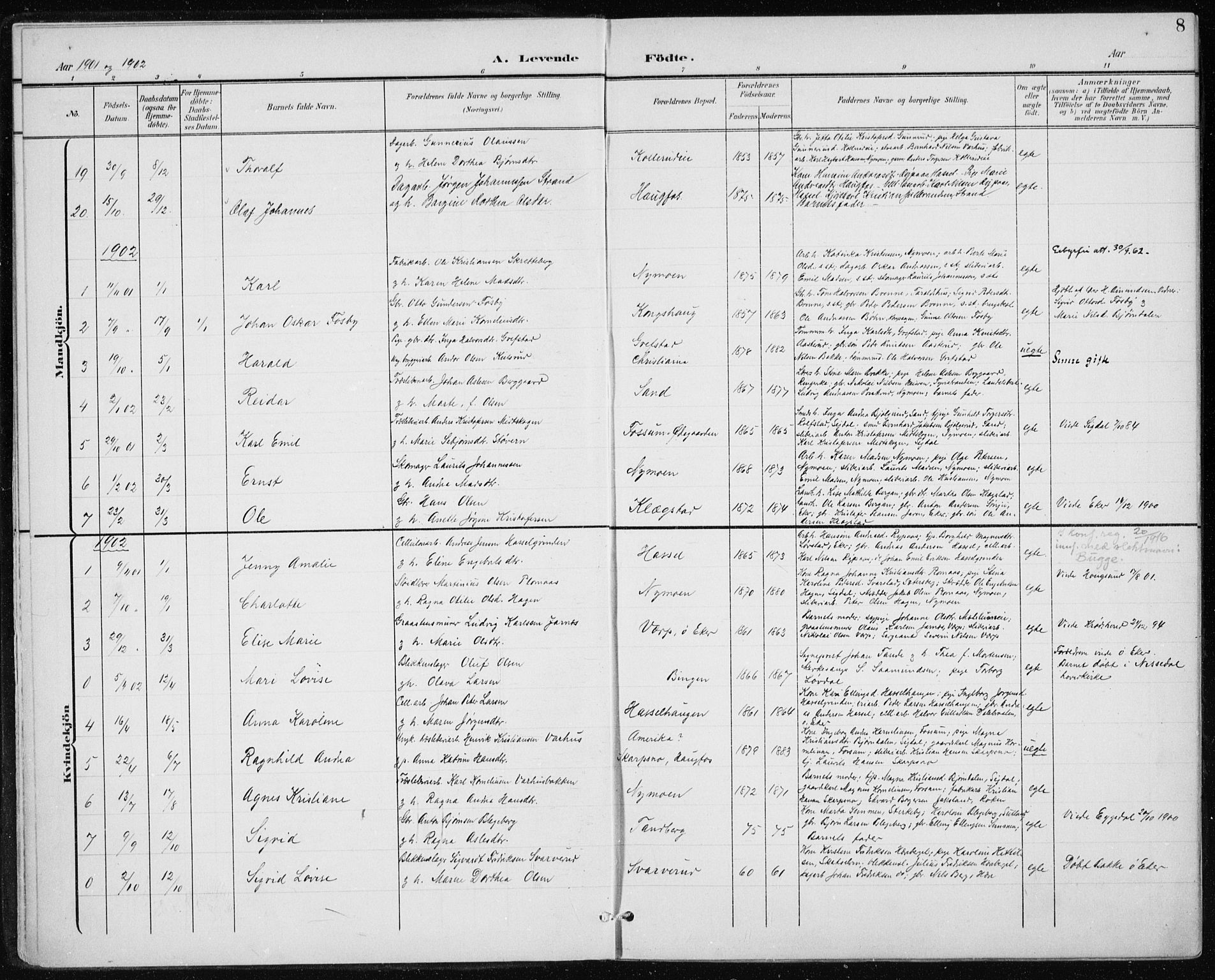 Modum kirkebøker, AV/SAKO-A-234/F/Fa/L0017: Parish register (official) no. 17, 1900-1915, p. 8