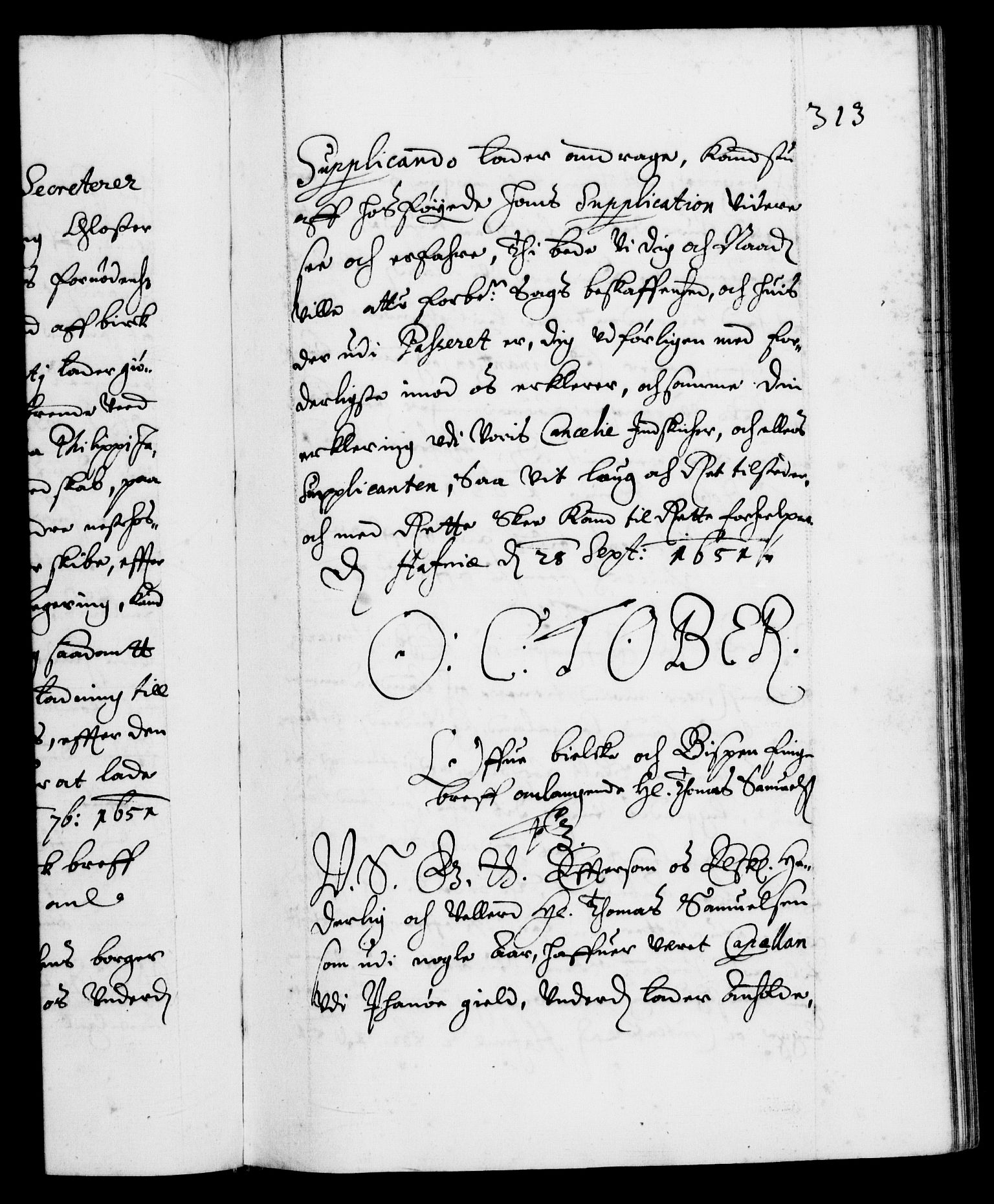 Danske Kanselli 1572-1799, RA/EA-3023/F/Fc/Fca/Fcab/L0008: Norske tegnelser (mikrofilm), 1648-1652, p. 313a