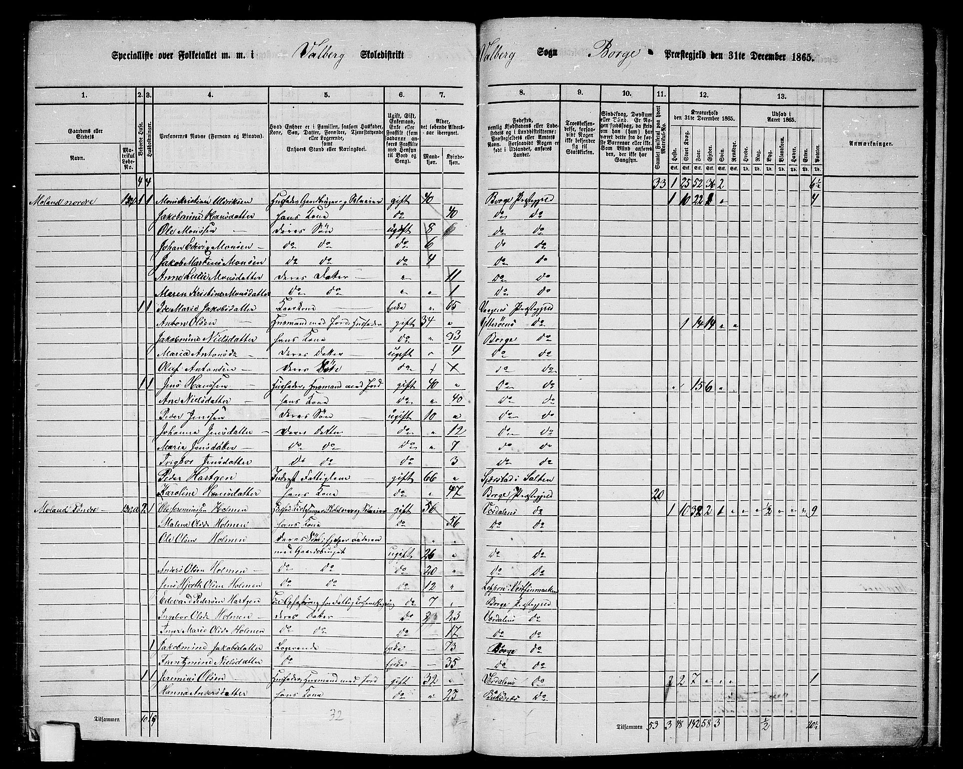 RA, 1865 census for Borge, 1865, p. 83