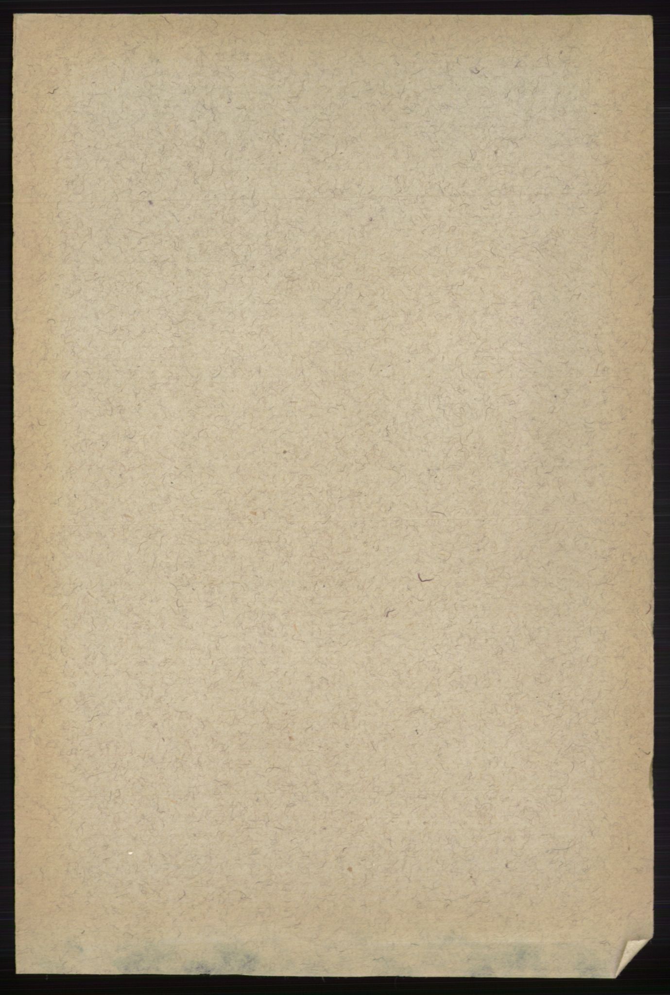 RA, 1891 census for 0712 Skoger, 1891, p. 4464
