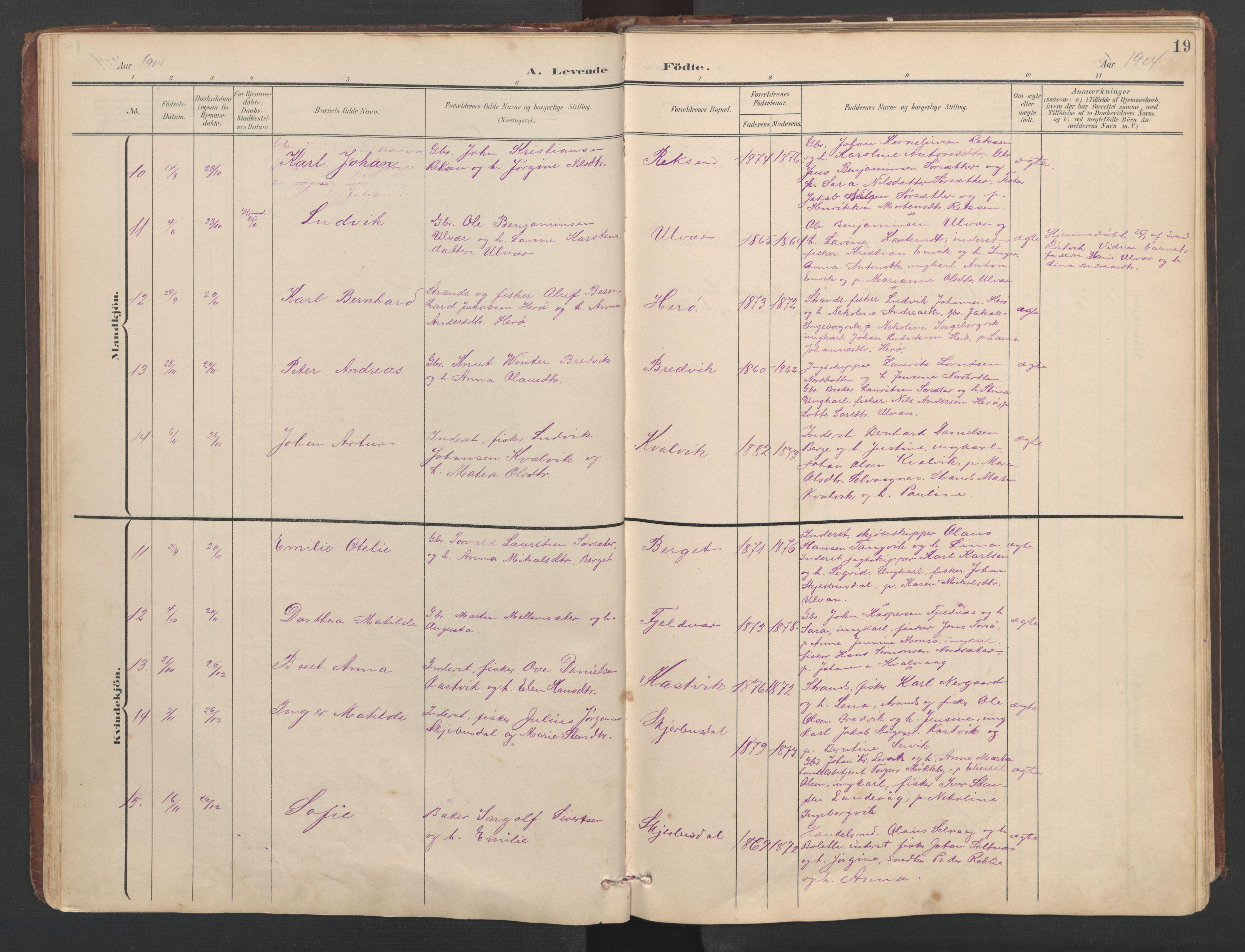 Ministerialprotokoller, klokkerbøker og fødselsregistre - Sør-Trøndelag, AV/SAT-A-1456/638/L0571: Parish register (copy) no. 638C03, 1901-1930, p. 19