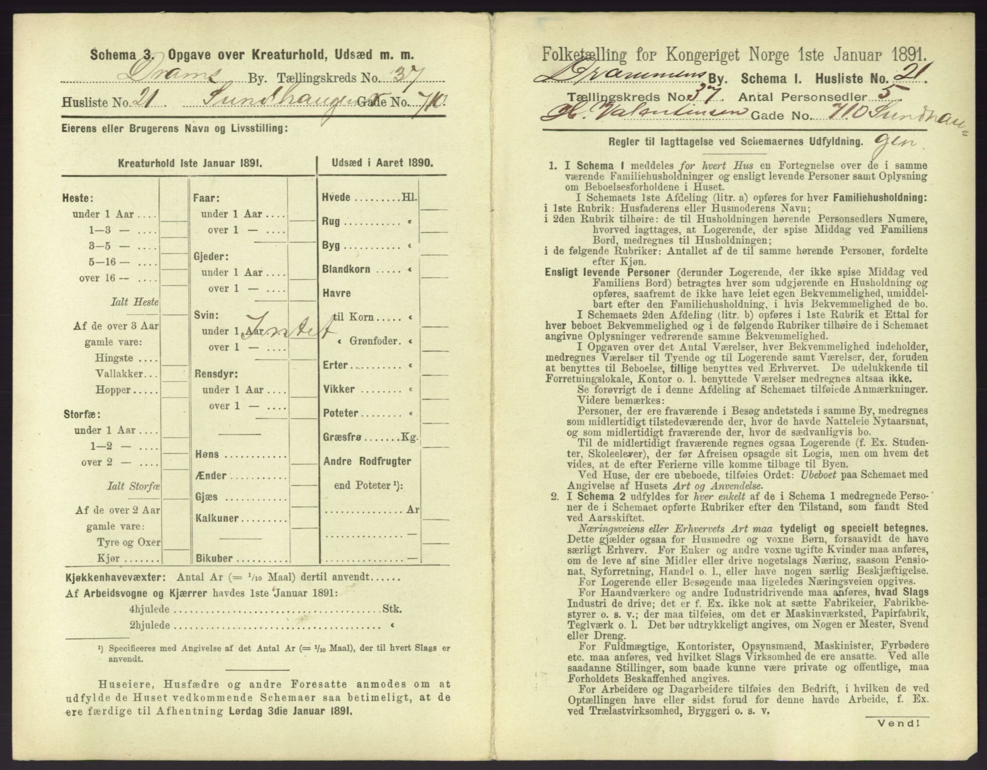 RA, 1891 census for 0602 Drammen, 1891, p. 3401