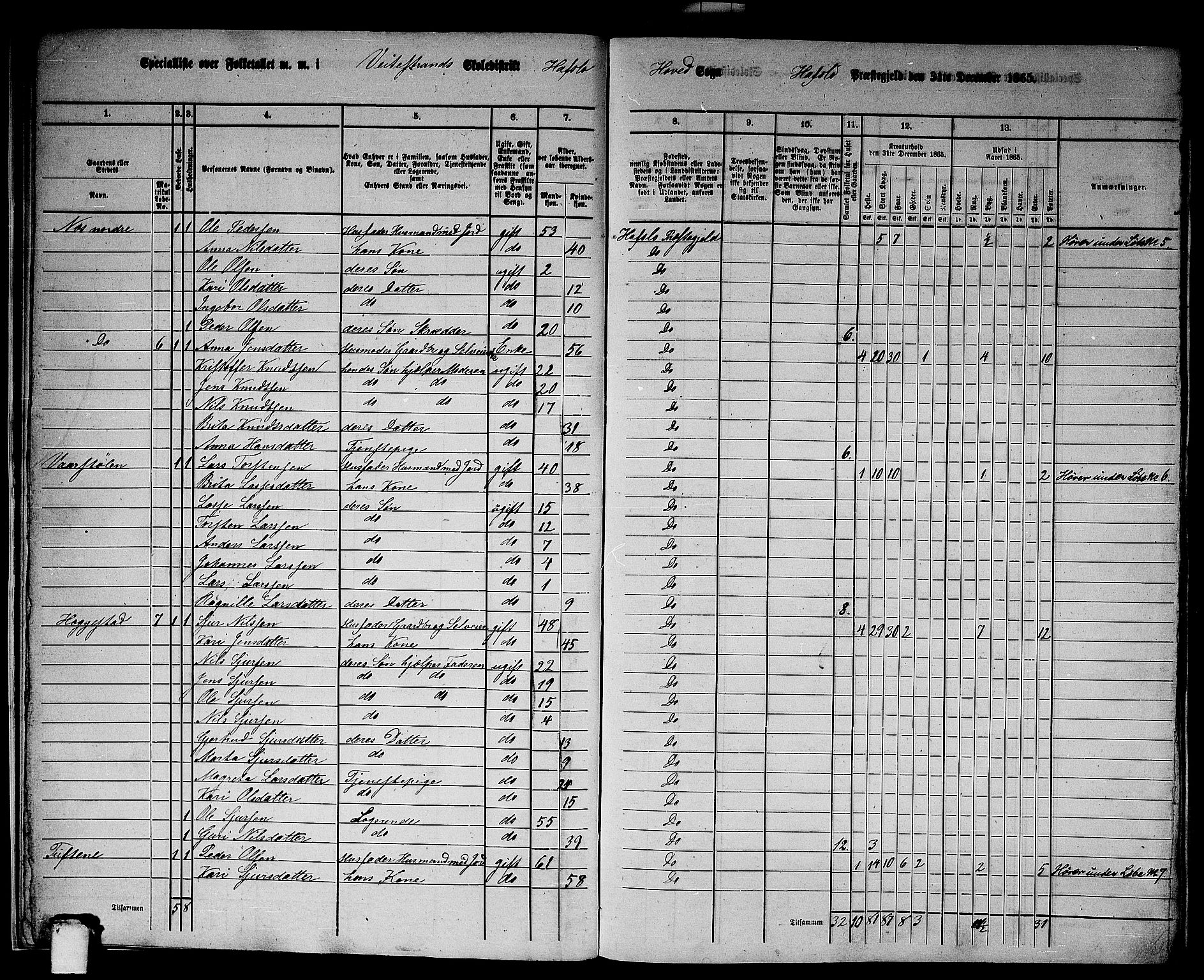 RA, 1865 census for Hafslo, 1865, p. 11