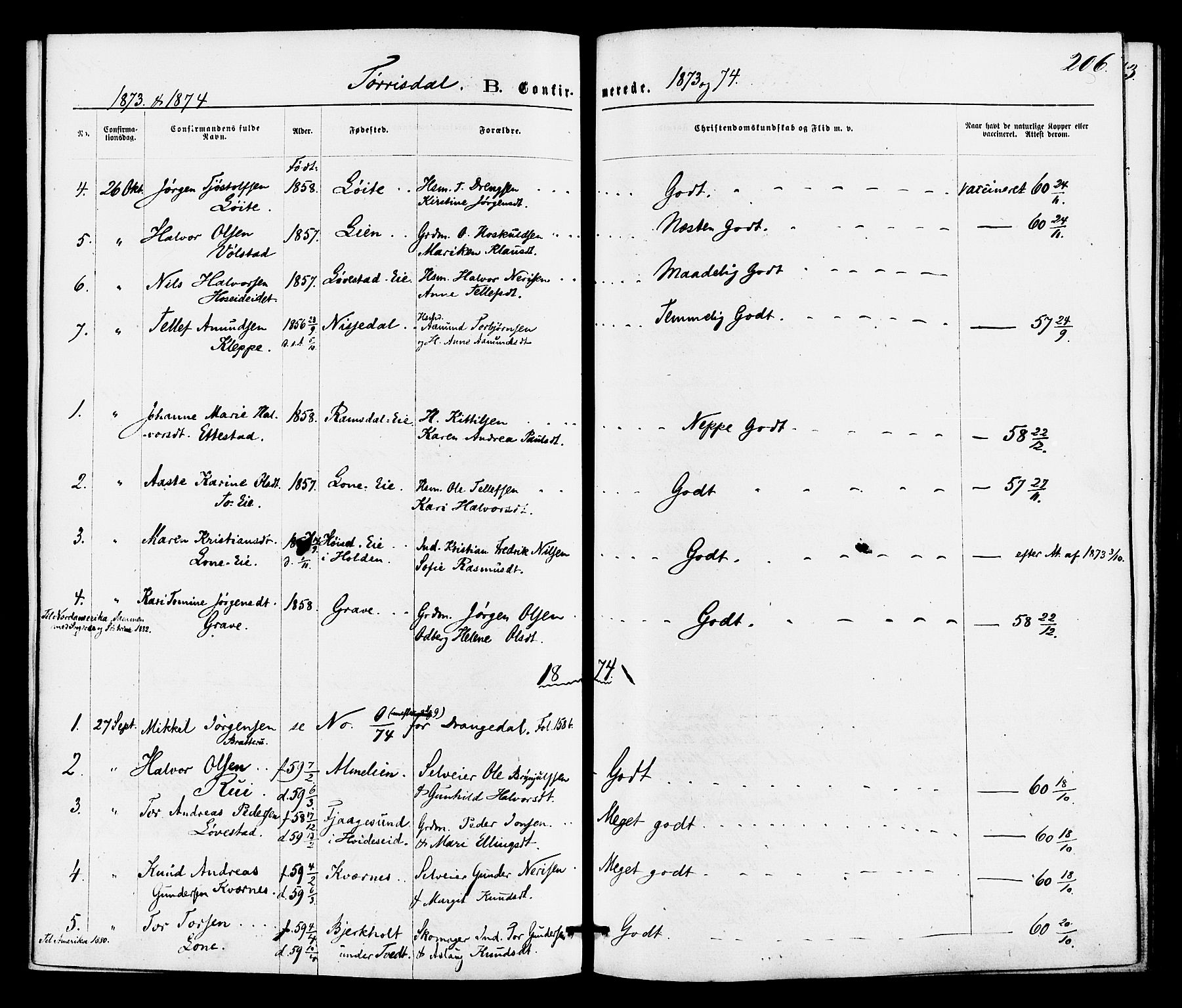 Drangedal kirkebøker, SAKO/A-258/F/Fa/L0009: Parish register (official) no. 9 /2, 1872-1884, p. 206