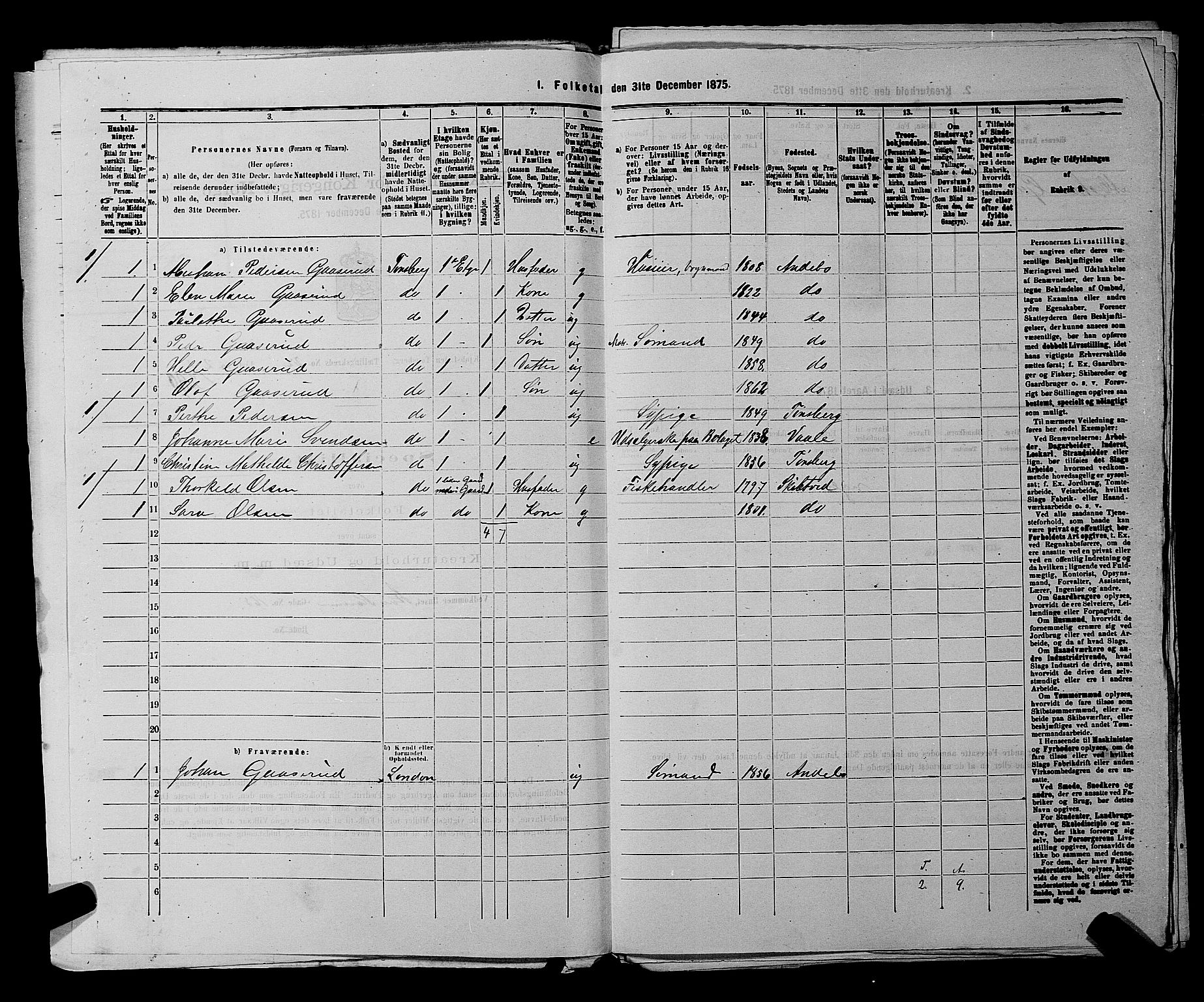 SAKO, 1875 census for 0705P Tønsberg, 1875, p. 691