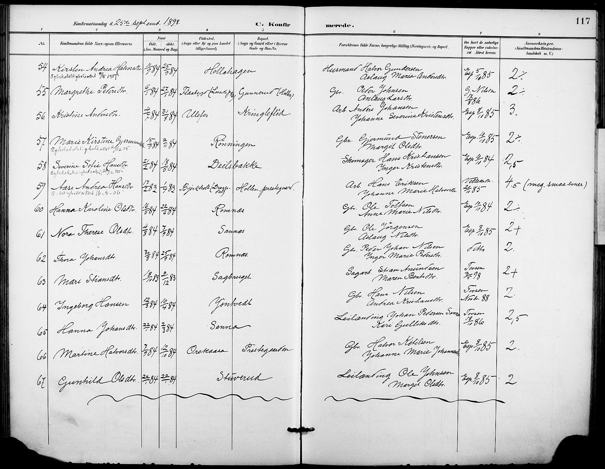 Holla kirkebøker, SAKO/A-272/F/Fa/L0010: Parish register (official) no. 10, 1897-1907, p. 117