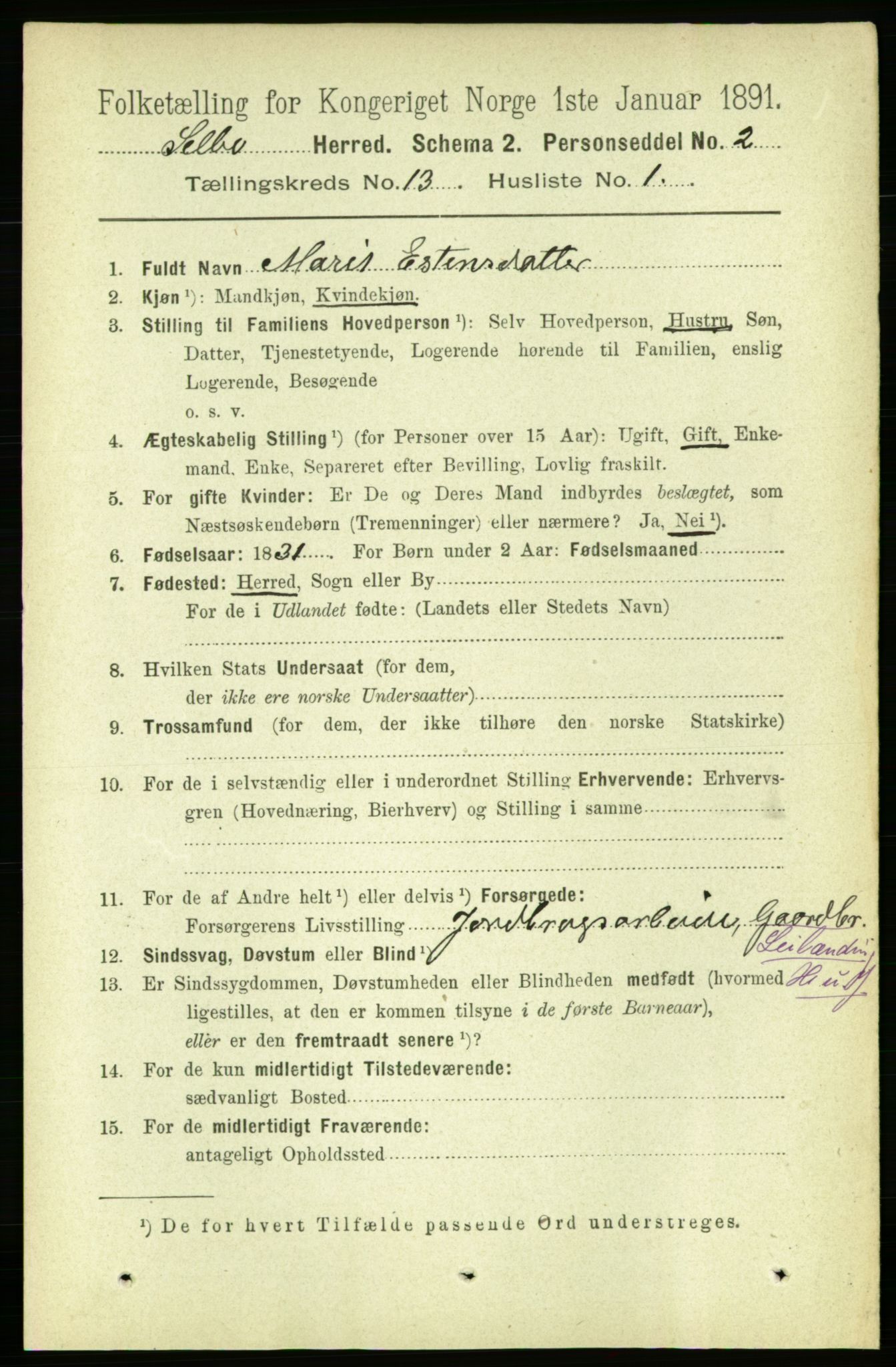 RA, 1891 census for 1664 Selbu, 1891, p. 4607