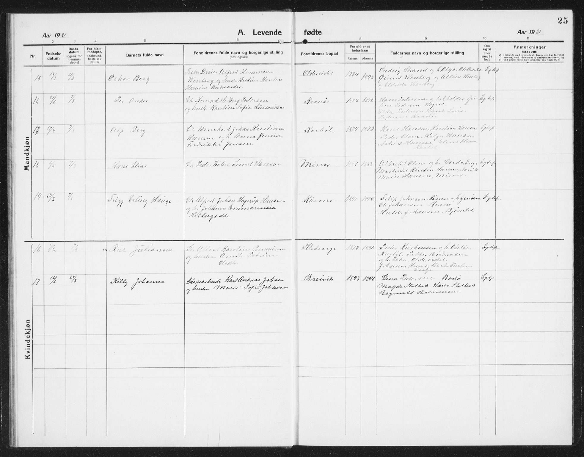 Ministerialprotokoller, klokkerbøker og fødselsregistre - Nordland, AV/SAT-A-1459/852/L0757: Parish register (copy) no. 852C08, 1916-1934, p. 25