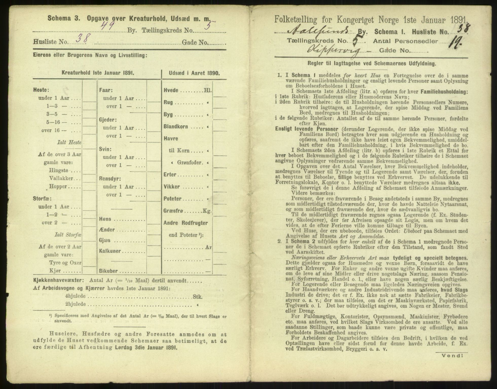 RA, 1891 census for 1501 Ålesund, 1891, p. 454